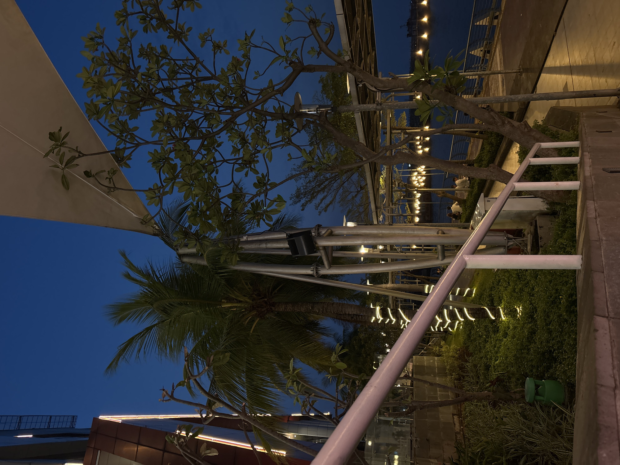 The image shows a nighttime scene in North Jakarta, Indonesia. The lower third of the frame contains an out-of-focus building with linear LED lights, suggesting a modern architectural element. Above this, two palm trees reach into the dark blue sky.
In the center, a steel structure provides a visual intersection between the sky and the scene. Nearby there is a canopy. To the right, a walkway lined with plants and string lights is visible. People are sitting along the water’s edge, where more string lights are illuminating the area. A low white fence partially obscures the people.