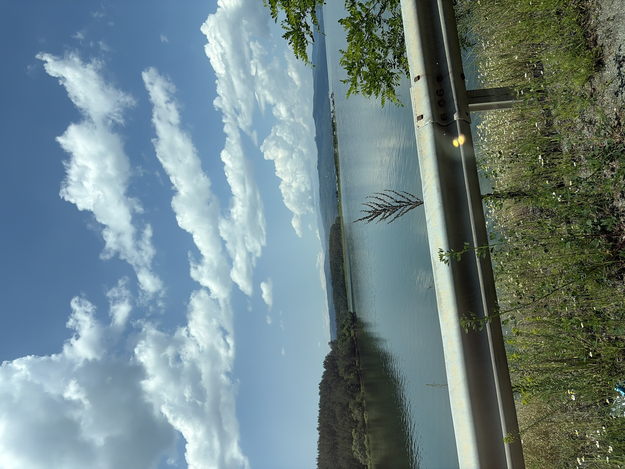 The image depicts a vast outdoor landscape on a bright, sunny day in the city of Unknown, Unknown. The scene is dominated by a large, tranquil body of water, likely a lake or reservoir, which occupies the midground and lower background. Its surface is calm with subtle ripples and reflects the clear blue sky overhead.
In the foreground, a light grey/silver metal guardrail runs horizontally across the bottom section of the frame, positioned as if viewed from a vehicle. The guardrail shows visible bolts and supports, and a distinct circular yellow lens flare appears on its surface towards the right. Below and in front of the guardrail, a strip of roadside ground is covered in dense green grass, interspersed with numerous small white and yellow wildflowers, along with other taller green plants and weeds. On the far left, a dry, multi-branched brown plant rises above the guardrail. On the far right, a portion of a vibrant green, leafy tree or shrub extends into the frame, partially obscuring the view of the water and distant land.
The left side of the water is bordered by a dense, dark green forest of coniferous trees, which line the shoreline and extend into rolling hills further back. Across the expansive body of water, the distant shoreline on the right recedes into hazy blue-green hills and mountains. A small cluster of white structures or buildings is visible on a low rise or island in the far distance across the water on the right side.
The sky, filling the upper portion of the image, is a brilliant, clear blue. It is dotted with numerous fluffy, white cumulus clouds of varying sizes and shapes, casting subtle shadows and adding depth to the overhead expanse. No people or animals are visible in the scene. The overall impression is one of a serene natural landscape with an implied roadside vantage point.