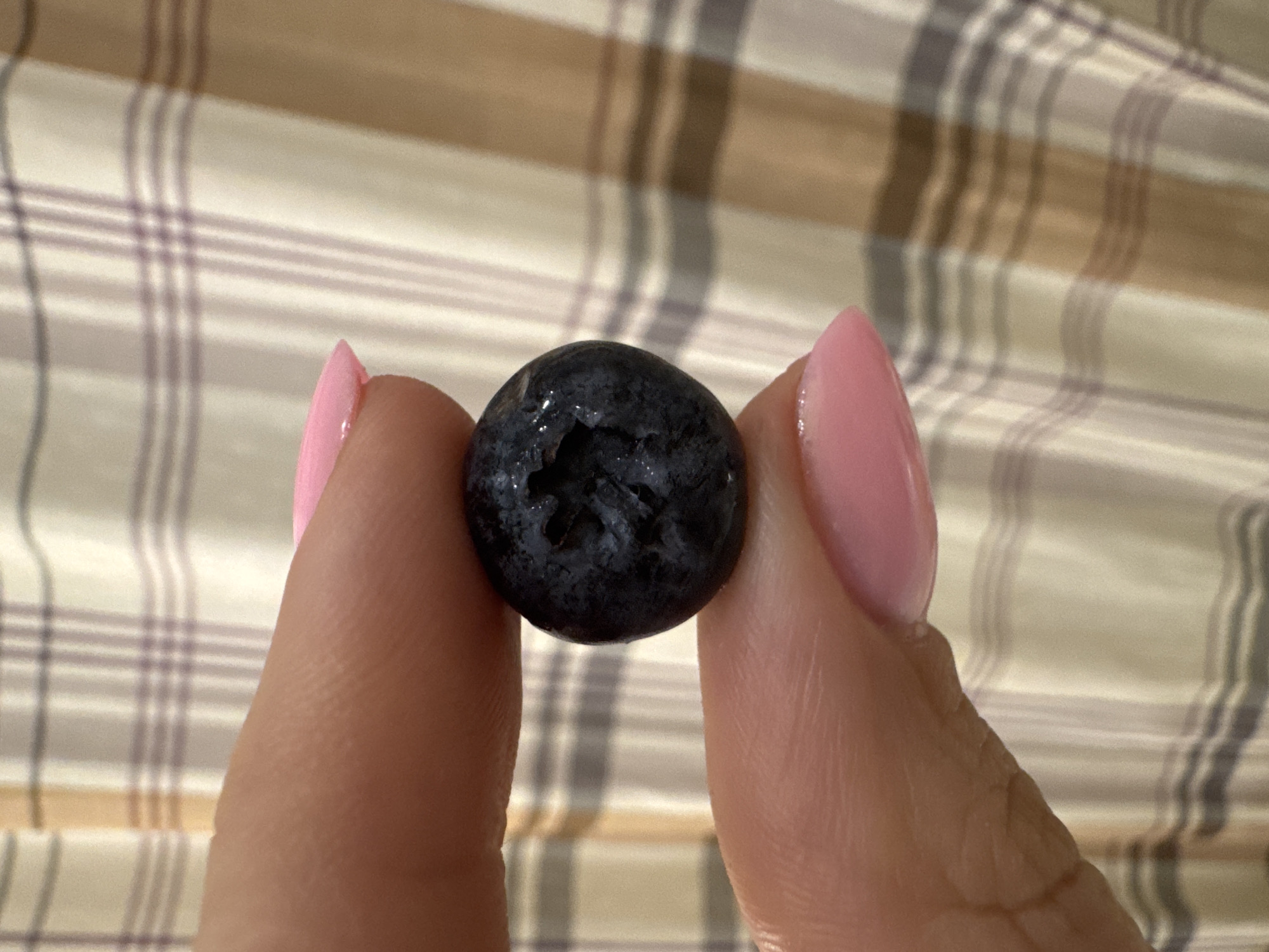 A close-up shot captures a hand gently holding a single blueberry between the thumb and index finger. The blueberry, a deep blue-black, appears fresh and slightly glossy, with its characteristic small crown visible. The fingers holding it have a light to medium skin tone, and the nails are manicured with a glossy, light pink polish shaped into an almond or pointed style.
The background is softly blurred, revealing a plaid pattern composed of horizontal and vertical stripes in varying shades of beige, light brown, and pale grey or purple. This pattern suggests a fabric surface, possibly a blanket, sheet, or upholstered furniture, indicating an indoor setting. The focus is entirely on the hand and the blueberry, with the background providing a subtle, textured backdrop. No specific activity beyond holding the berry is depicted, nor are any emotions conveyed. The image does not contain any visible text. This scene is set in Izhevsk, Russia.