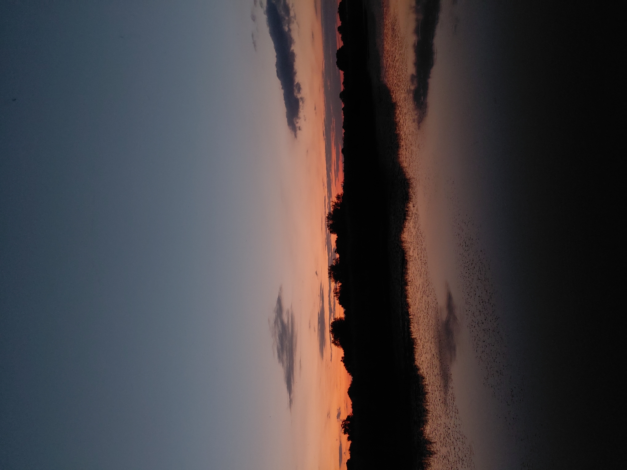 An undated, vertical, full-shot image shows a body of water reflecting a silhouetted treeline against a twilight sky. The sky transitions from a deep, dusky blue at the top to an orange and pink gradient near the horizon. A few wispy clouds are scattered across the sky. The treeline, a solid black silhouette, is dense and irregular. The water is dark, with subtle ripples and reflections of the sky and treeline. The image appears to have been taken from the edge of the water, looking across it towards the treeline. The scene suggests a natural setting, possibly a lake or river, at dusk. The location is Ustyvytsia, Ukraine.