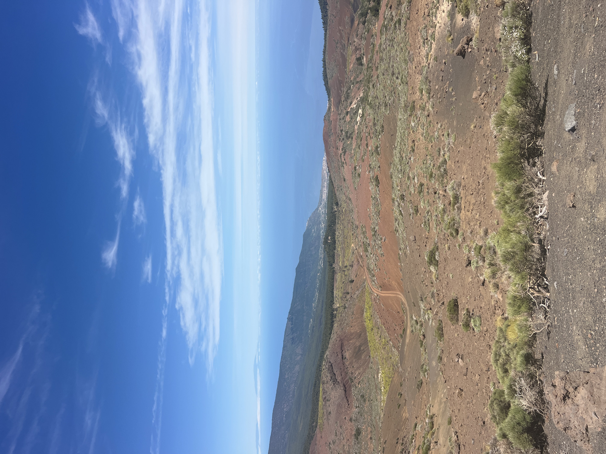 The image depicts a volcanic landscape with a vast blue ocean in the background. The foreground is characterized by dry, reddish-brown soil, scattered rocks, and sparse, hardy vegetation. A winding dirt path is visible descending into a valley. In the mid-ground, more reddish volcanic soil and low-lying green shrubs dominate. Further back, a dark green forest covers the slopes of a large mountain range that meets the ocean. The ocean stretches to the horizon, meeting a clear blue sky dotted with wispy white clouds. A town or village is visible along the coastline. The scene is likely a view from a higher elevation, possibly within or overlooking the natural park areas of La Orotava, Spain, known for its volcanic terrain and proximity to the coast.