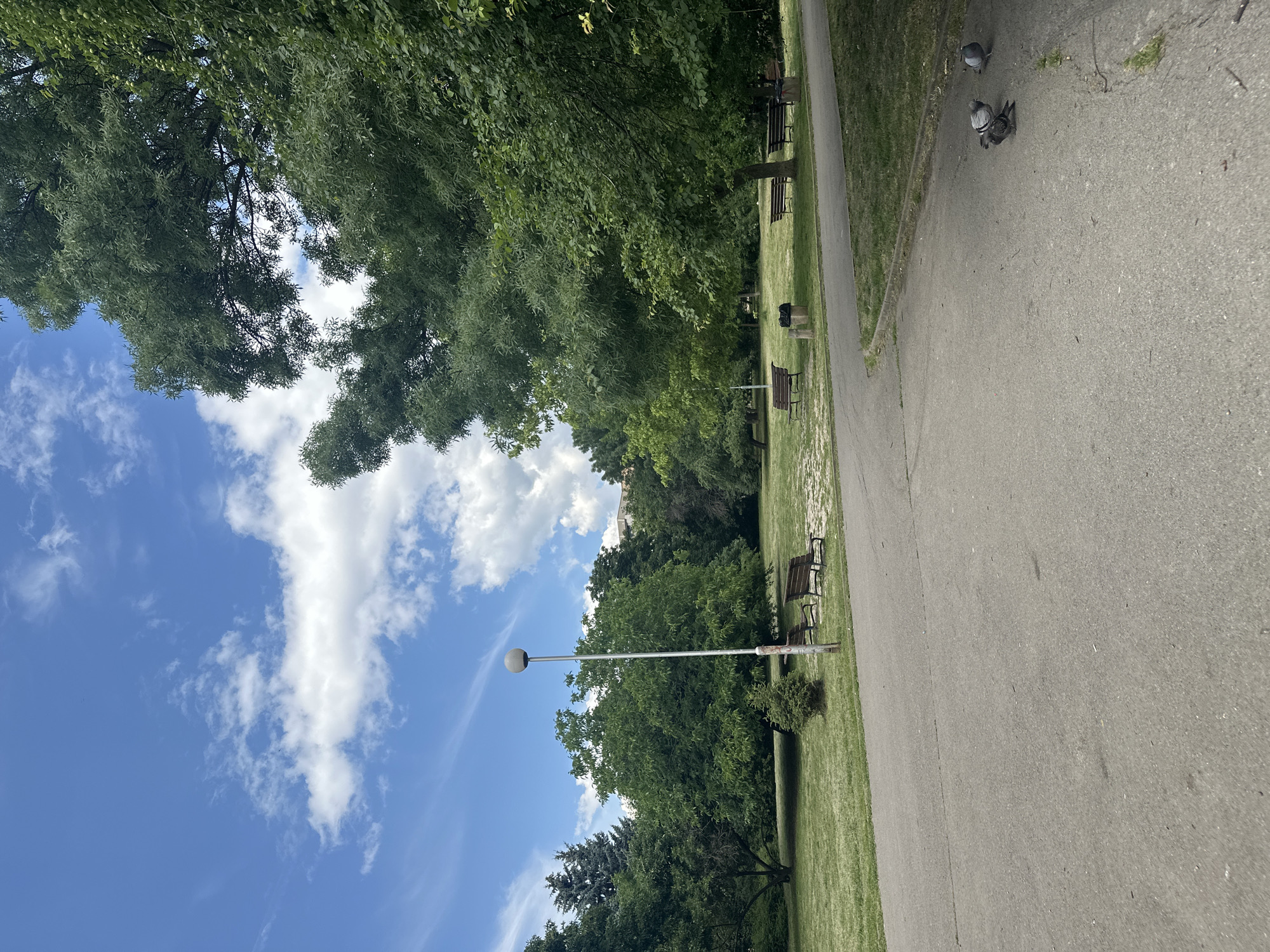 The image depicts a serene park scene on a bright, partly cloudy day, likely in Sofia, Bulgaria, given the context. A paved pathway curves through the foreground, leading towards a grassy expanse dotted with several park benches. Lush green trees, varying in species and size, frame the scene, with dense foliage casting shadows on the manicured lawn. A tall lamppost stands near the center of the park, and in the distance, the upper stories of buildings are visible peeking through the trees. A group of three pigeons are present on the pathway in the lower right portion of the image, with two appearing to peck at the ground while the third stands nearby. The overall atmosphere is tranquil and inviting, suggesting a public space designed for relaxation and enjoyment of nature.