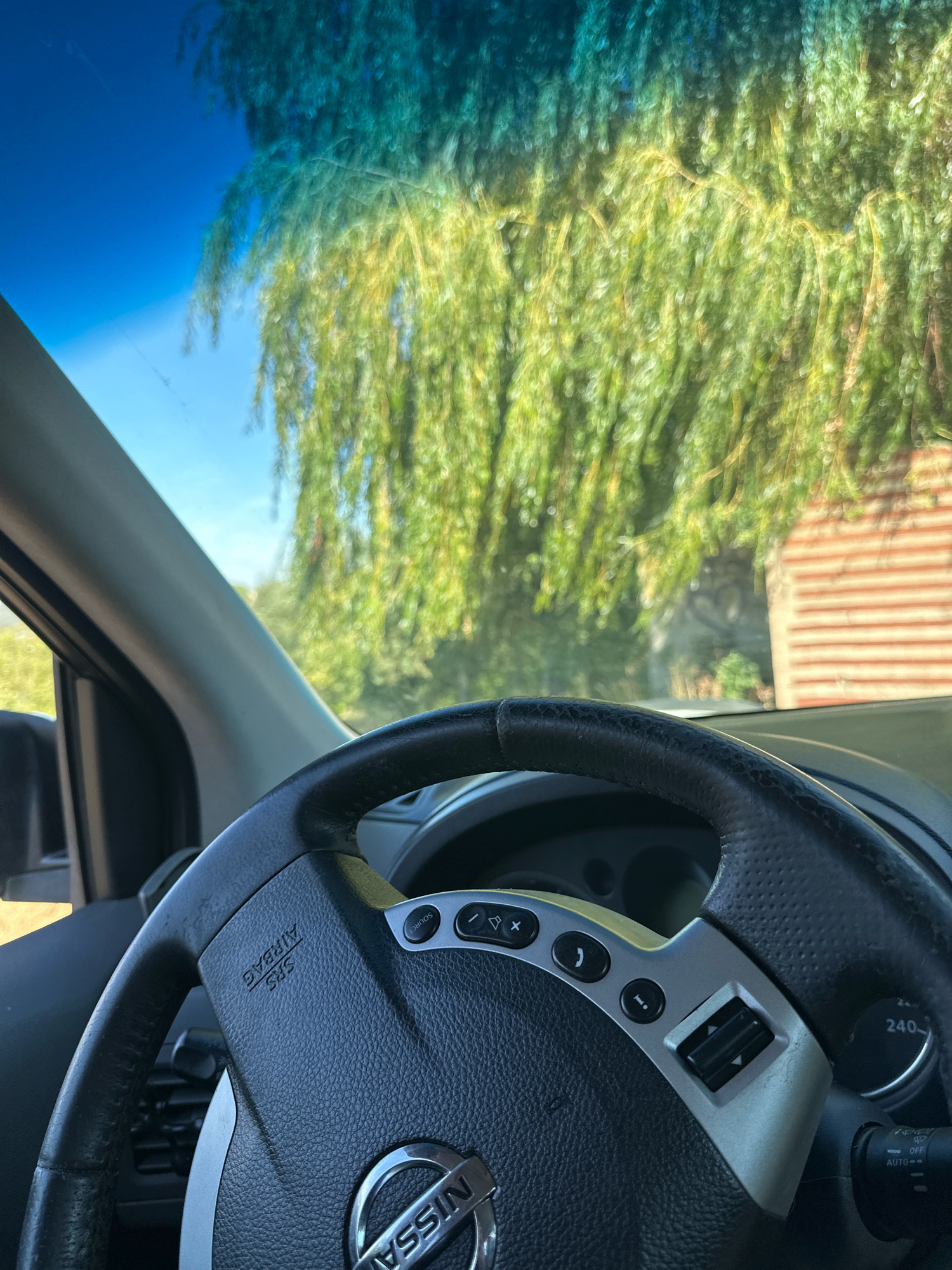 The image provides an interior view of a car, looking through the windshield. The steering wheel, bearing the Nissan logo and SRS Airbag indicator, is prominently displayed in the foreground. Various buttons are visible on the steering wheel, including controls for volume, calls, and a scroll wheel. A portion of the car's dashboard, including a speedometer reading 240, is also visible. Outside the car, through the windshield, a bright blue sky is seen, with the blurred green foliage of a weeping tree hanging down. In the background, a brick building with horizontal lines is partially visible. The perspective suggests the car is parked or moving slowly in a location with vegetation and a building, potentially a residential area. The scene does not offer specific details to determine the exact location within Makiv, Ukraine, beyond general outdoor environmental cues. There are no people or animals visible in the image.