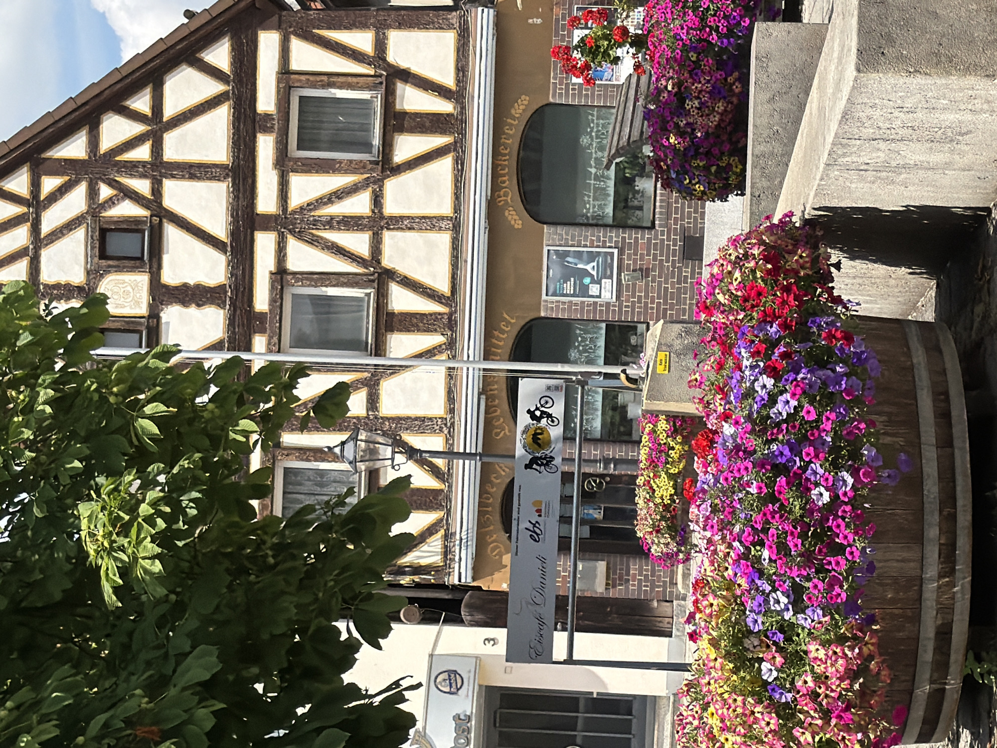 In Ebermannstadt, Germany, a picturesque scene unfolds in front of a traditional half-timbered building. The building features a distinctive pattern of dark brown beams against a white and yellow facade, with several windows. Below the building, a brick-lined storefront has arched windows displaying merchandise or scenery within. A sign above these windows reads "Delzbech Lebensmittellager & Bäckerei," indicating a grocery store and bakery. In the foreground, large wooden barrels and concrete planters overflow with vibrant, colorful flowers, predominantly pink, purple, red, and yellow petunias. A street lamp stands near the building, and a tree with lush green foliage partially obscures the upper portion of the structure. The overall impression is one of a charming, well-maintained European town square.