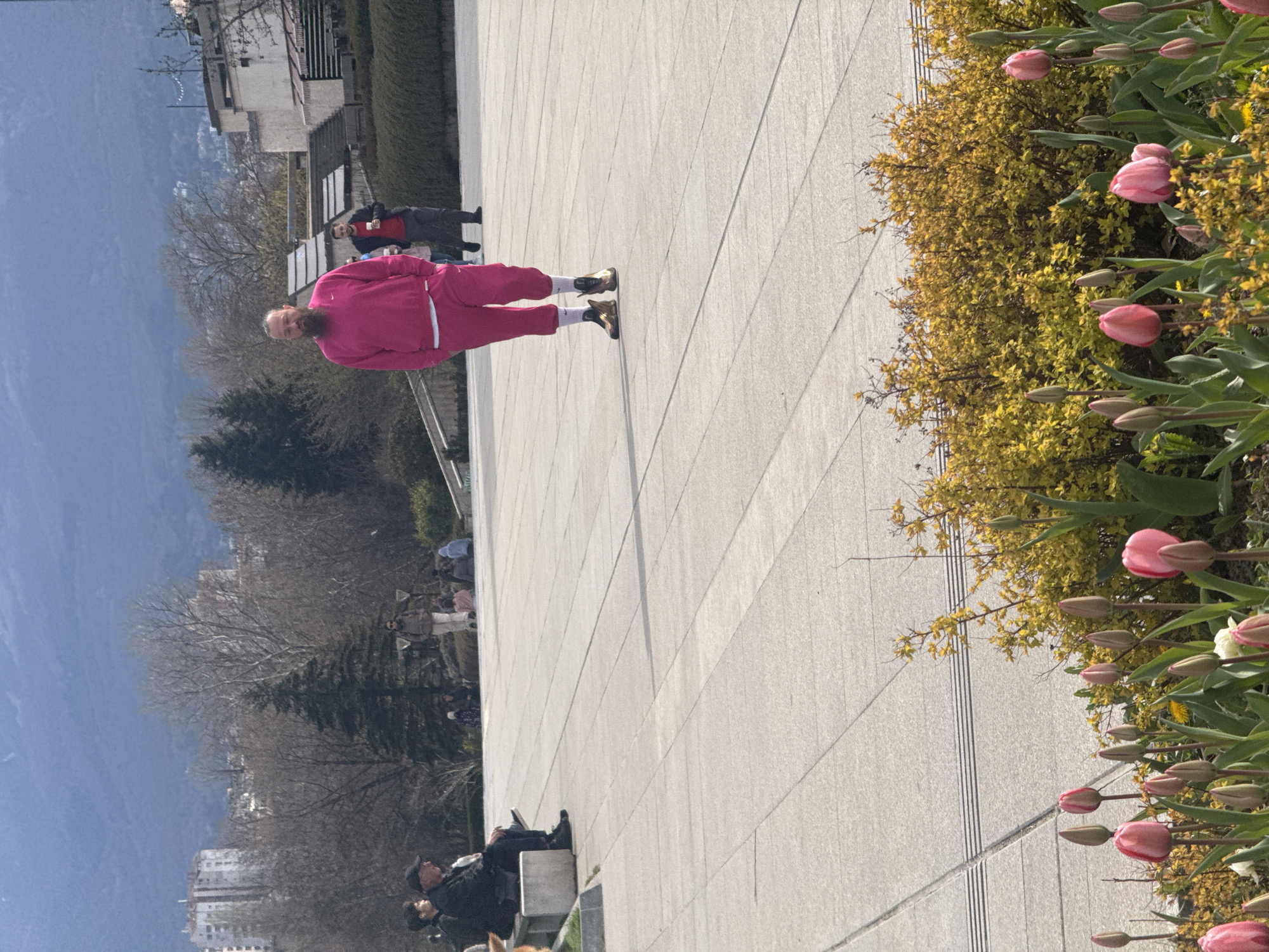 The image shows an outdoor scene in the city of Sofia, Bulgaria. The foreground features pink tulips planted along a pathway. A person wearing a pink tracksuit is walking on the pathway. Other people are visible in the background, including someone sitting on a bench. Trees and buildings are also present in the background. A mountain range is visible in the distance. The weather appears to be sunny.