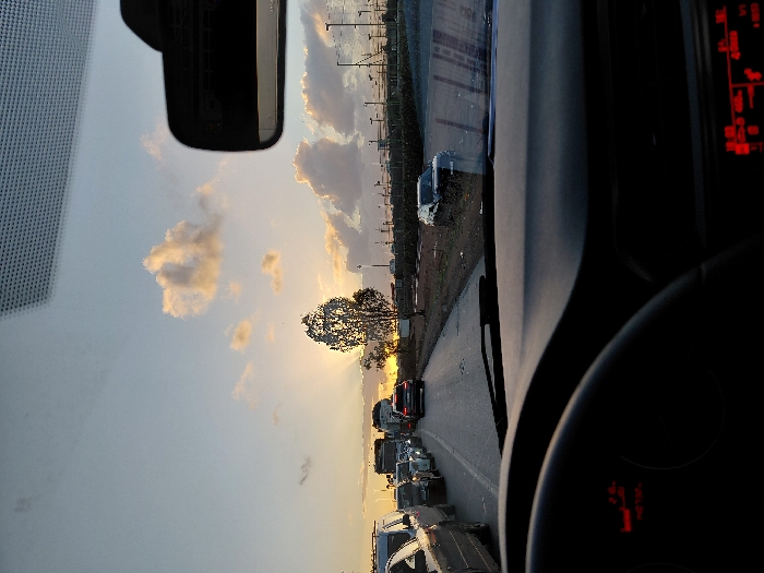 The image, taken from inside a vehicle looking forward through the windshield, depicts a road scene at either sunrise or sunset in Tit Mellil, Morocco. The camera is oriented to capture the car's interior on the right and the exterior view on the left.
In the immediate foreground on the right, a dark dashboard and a portion of a steering wheel are visible, along with a red digital display, possibly part of the instrument cluster, showing illuminated segments that are not clearly legible. A rearview mirror is partially visible at the top center.
Outside the car, a paved road stretches into the distance, occupied by a line of stationary or slow-moving vehicles, indicating traffic. A prominent, large tree with a dense canopy stands silhouetted against the bright horizon on the left side of the road. The sky, dominating the upper and left portions of the image, displays warm golden and orange hues near the horizon, transitioning to lighter blue and grey tones higher up. Scattered clouds are visible, illuminated from behind by the low sun. In the far background along the roadside, faint structures or utility poles can be discerned. The overall lighting suggests either dusk or dawn, with the sun low in the sky, casting a strong backlight and creating silhouettes of the tree and distant cars.