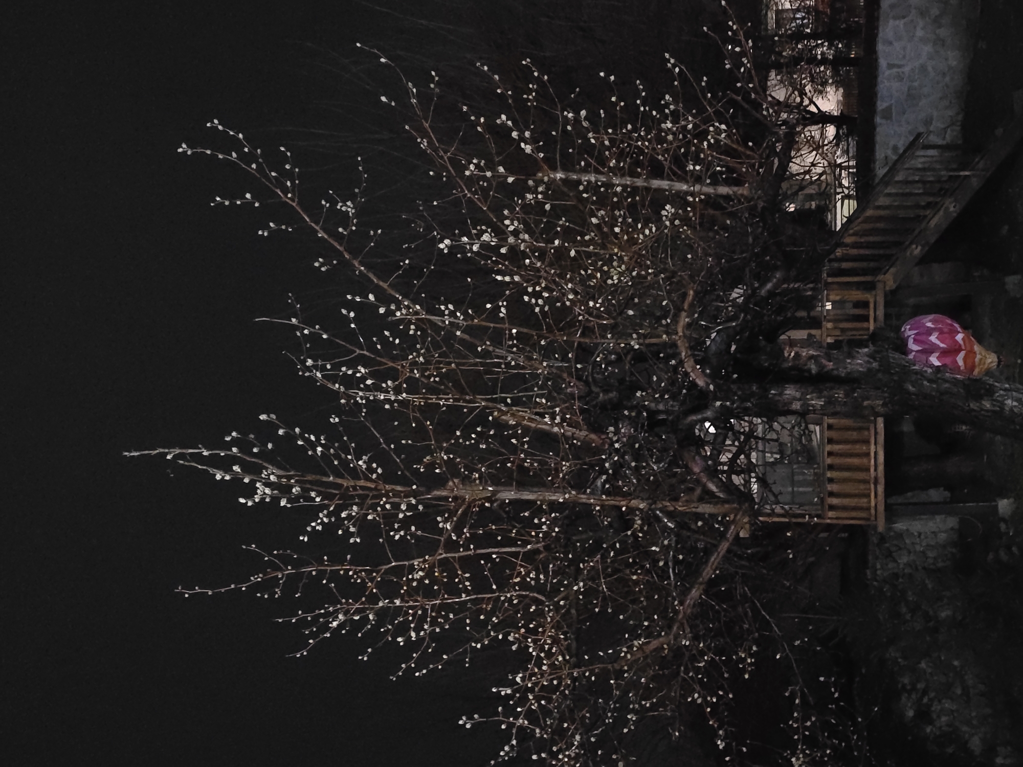 The scene depicts an outdoor nighttime environment in Unknown, Unknown. A large deciduous tree dominates the foreground, its bare branches covered in numerous small, light-colored buds. Integrated into the lower trunk and branches of the tree is a wooden structure, possibly a small platform or treehouse, featuring wooden railings and a window opening. A wooden staircase with railings ascends from the right side of the frame, leading towards this structure. A stone wall is visible in the mid-ground, positioned behind the staircase and the tree's base. At the base of the tree, suspended from the trunk, is a decorative object resembling a miniature hot-air balloon, patterned with pink, white, and a darker hue in a chevron design. The ground beneath the tree and staircase is covered in dark foliage. The sky is black and devoid of discernible features. No individuals or animals are present.