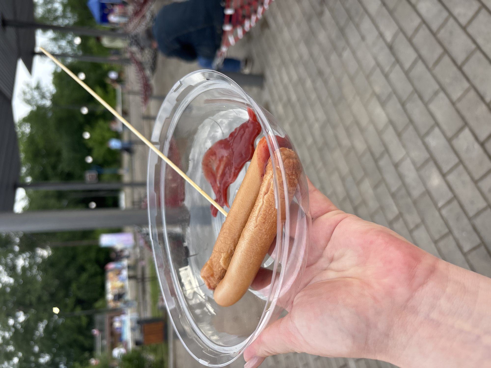 A hand holds a clear plastic bowl containing two frankfurters and a dollop of ketchup, skewered by a wooden stick. The background is an outdoor public space with trees, paved ground, and a person sitting on a red mesh structure. The scene is likely a park or an outdoor market area. No specific location in Birobidzhan, Russia, can be identified from the image.