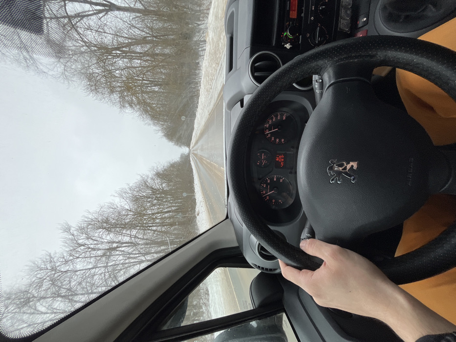 The image depicts a first-person view from the driver's seat of a vehicle traveling on a two-lane asphalt road through a snowy, winter landscape in Rogachovo, Russia. A left hand, presumably belonging to the driver, is positioned on the black, perforated steering wheel of what appears to be a Peugeot vehicle, indicated by the prominent silver lion logo and "AIRBAG" text. The driver is wearing orange pants, visible below the steering wheel.
The dashboard instruments are visible, showing a tachometer indicating approximately 1500 RPM, a digital display showing "82.1" and "125.12.13", and a speedometer indicating a speed of roughly 80-85 km/h. To the right of the steering wheel, a radio unit with illuminated green and red lights and climate controls are present on the center console.
Outside the vehicle, the road is partially wet and appears to be cleared of heavy snow, though significant snow accumulation lines both verges. Bare, deciduous trees form dense, leafless lines along both sides of the road, extending into the distance under an overcast, grey sky. Small, circular regulatory road signs are partially visible in the snowy tree lines on both sides of the road further down the straight stretch.
