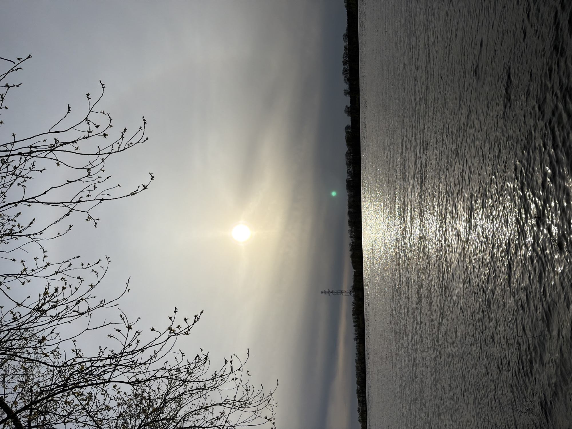 The photograph, oriented vertically, depicts a sunlit scene that includes tree branches in the foreground, a water body on the right side of the image, and an overcast sky. The sun is centrally located in the sky, emitting a bright glare that diffuses through the cloud cover. Reflections of sunlight are visible on the surface of the water, suggesting a textured water surface. Bare tree branches with budding leaves are visible on the left. Across the water, a row of trees is silhouetted against the sky. A distant transmission tower can be discerned near the center of the composition. The scene appears to be in Chaikovsky, Russia, based on geographical elements that are common in the area. There are no people depicted.