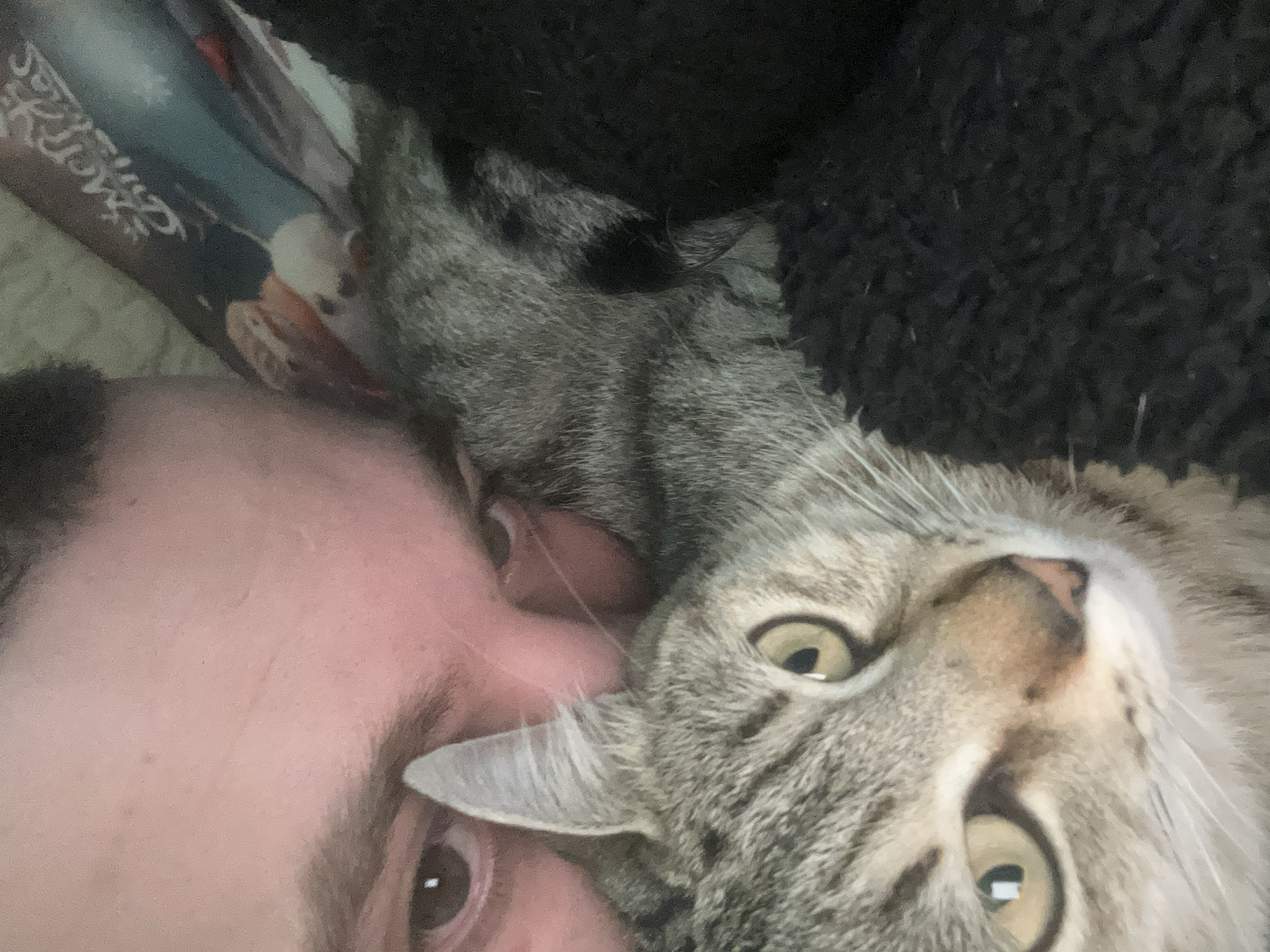 A close-up, eye-level shot shows a human face and a tabby cat's face closely positioned together. The human face, likely male, is on the left side of the frame with brown eyes visible. The tabby cat is on the right side, its face tilted, with large, yellow-green eyes looking directly at the camera. Part of the cat's paw is near the human's forehead. There is a dark, textured material, possibly a blanket, in the upper right corner, and a partially visible patterned item in the upper left corner. The location is unknown.