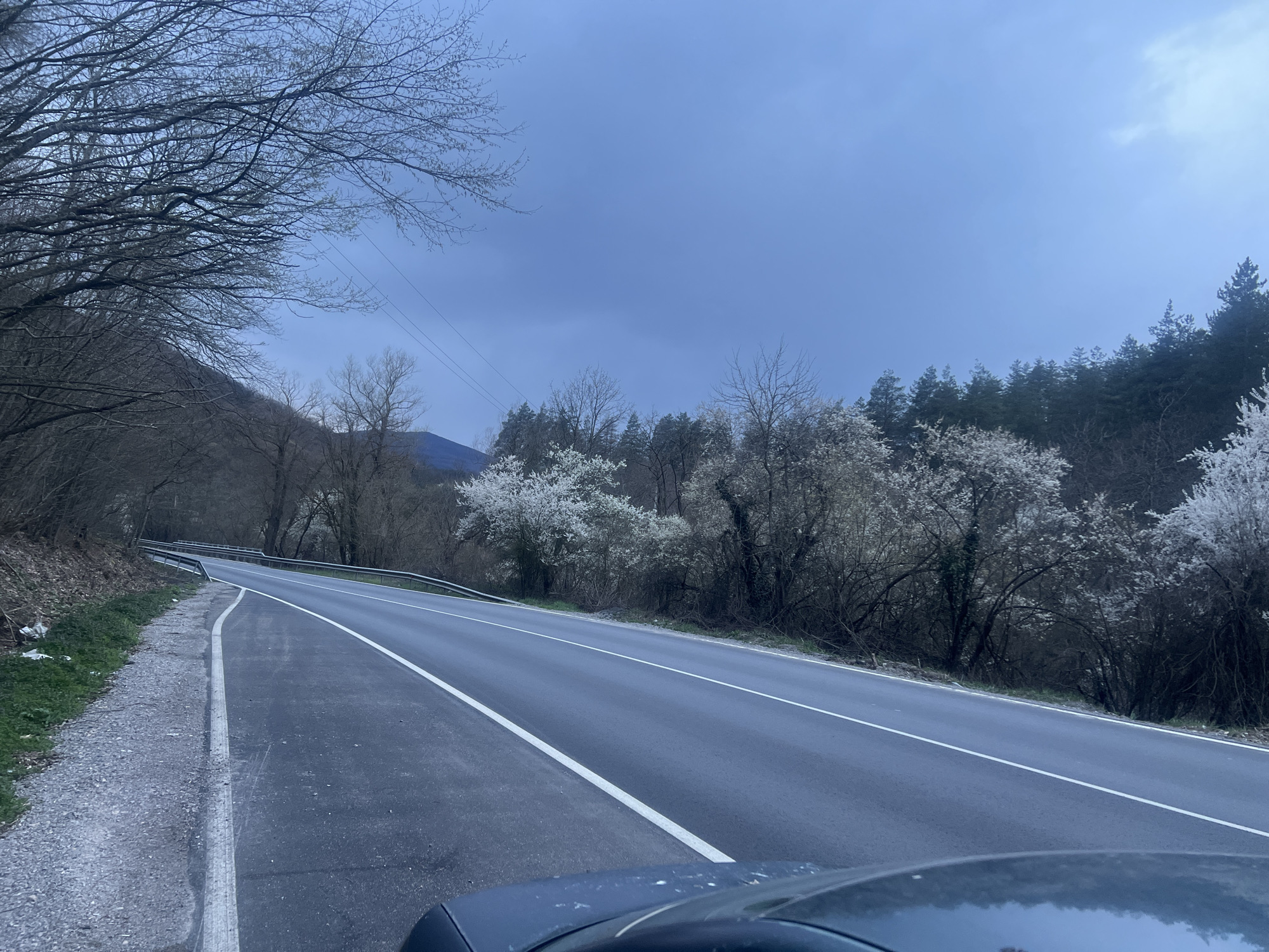 The image shows an asphalt road with two lanes separated by a white line. On the left side of the road is a gravel shoulder with sparse vegetation. A metal guardrail runs along the edge of the road. On the right side, trees and bushes with white blossoms line the road. The sky is overcast and gray. The image includes the hood of a dark-colored vehicle in the bottom center. Based on location context, it is near Kotel, Bulgaria.