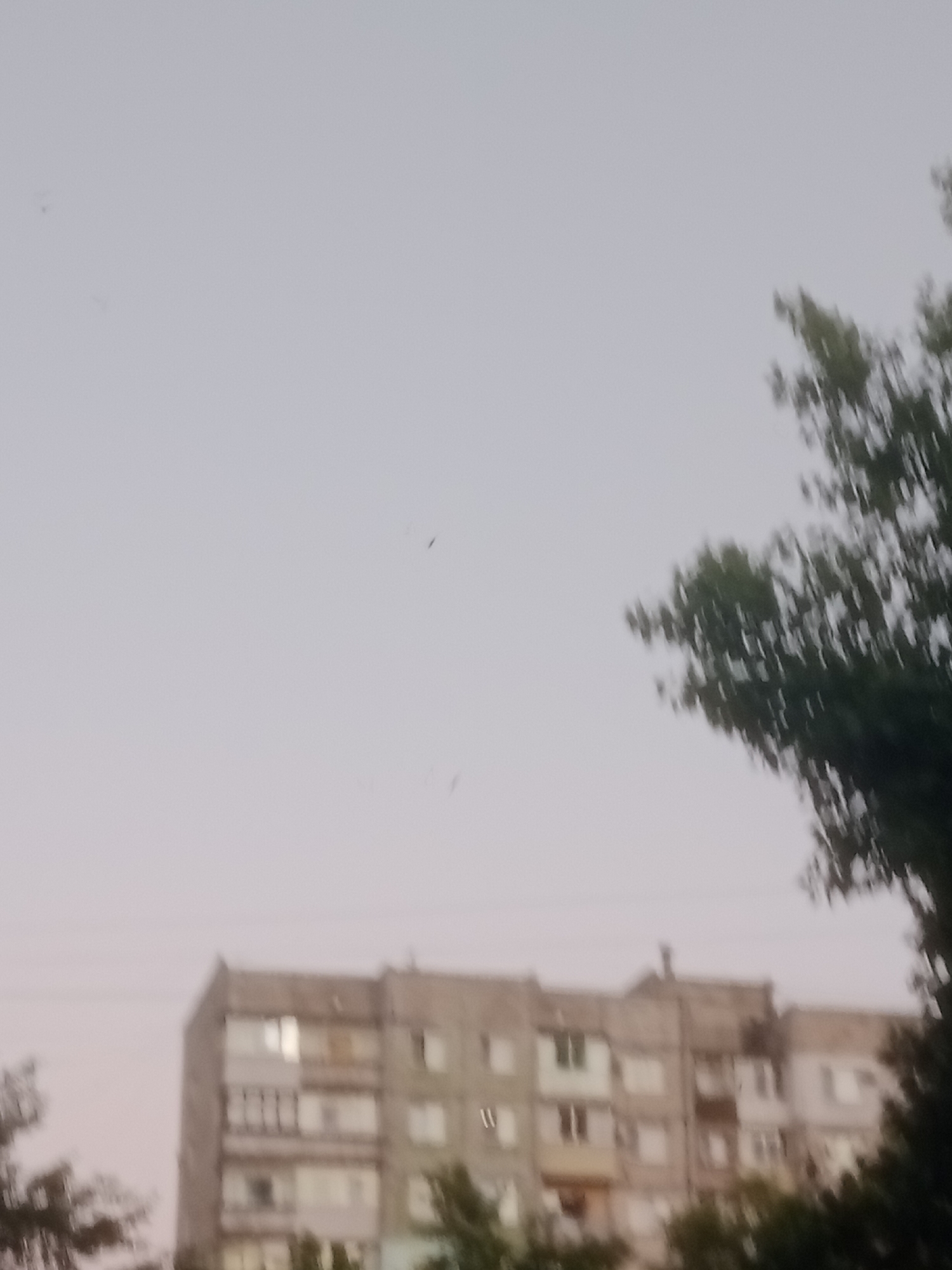 The image depicts a blurred view of a residential building in Horishni Plavni, Ukraine. The building appears to be an apartment block, characterized by multiple windows and balconies. The sky above is overcast and pale, suggesting a cloudy or twilight setting. Trees with green foliage are visible in the foreground and on the right side of the image, partially obscuring the building. The overall scene is rendered with a lack of sharp focus, indicating a potentially low-resolution photograph or a deliberate stylistic choice. No people or specific actions are discernible due to the blurriness.