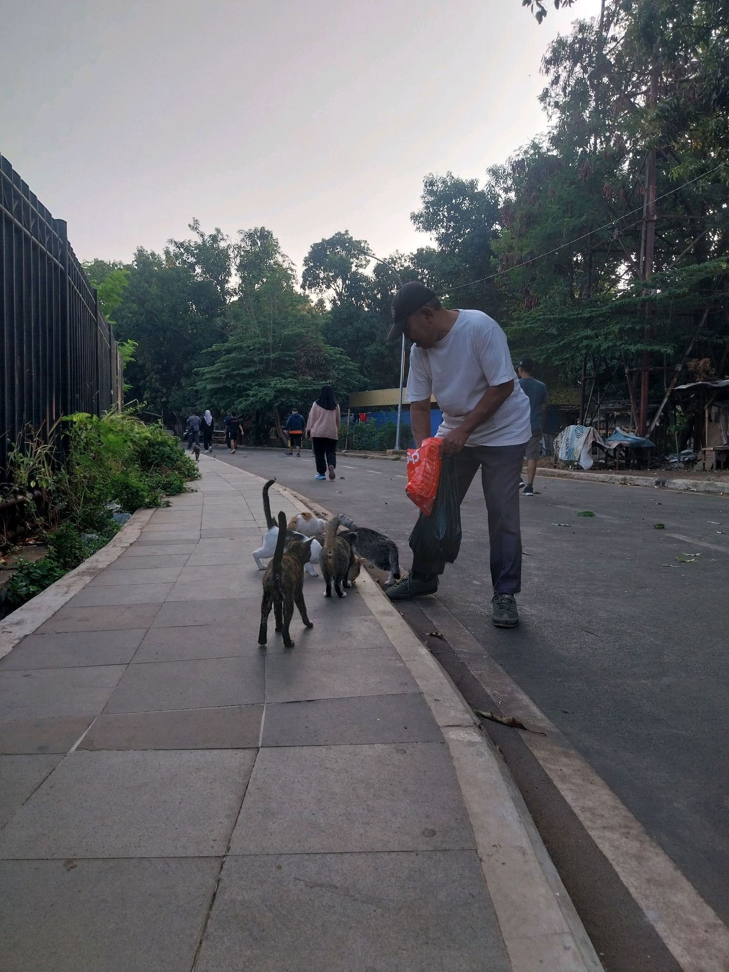 An outdoor, low-angle, eye-level shot captures a street scene in Cirebon, Indonesia, likely during the late afternoon or early evening given the soft light. In the foreground, a man wearing a white t-shirt, dark pants, and a baseball cap is stooping to pick up or discard items into a black plastic bag he is holding in his right hand. He also holds a bright orange plastic bag in his left hand. Beside him, four cats are gathered on a paved sidewalk; one is a tortoiseshell tabby, another appears mostly white with some grey markings, and two others are predominantly grey. The sidewalk is bordered by a grassy embankment to the left and a street to the right. The street is asphalt with a white line marking its edge.
Further down the street, several other individuals are visible walking or jogging. One person in a pink headscarf and black pants is walking away from the camera. Others are further in the distance, some appearing to be exercising. The background is filled with lush green trees and foliage, with a dark metal fence to the far left. Some dilapidated structures and debris are visible on the right side of the street, suggesting an urban or semi-urban environment. The sky above is a pale, overcast grey.
