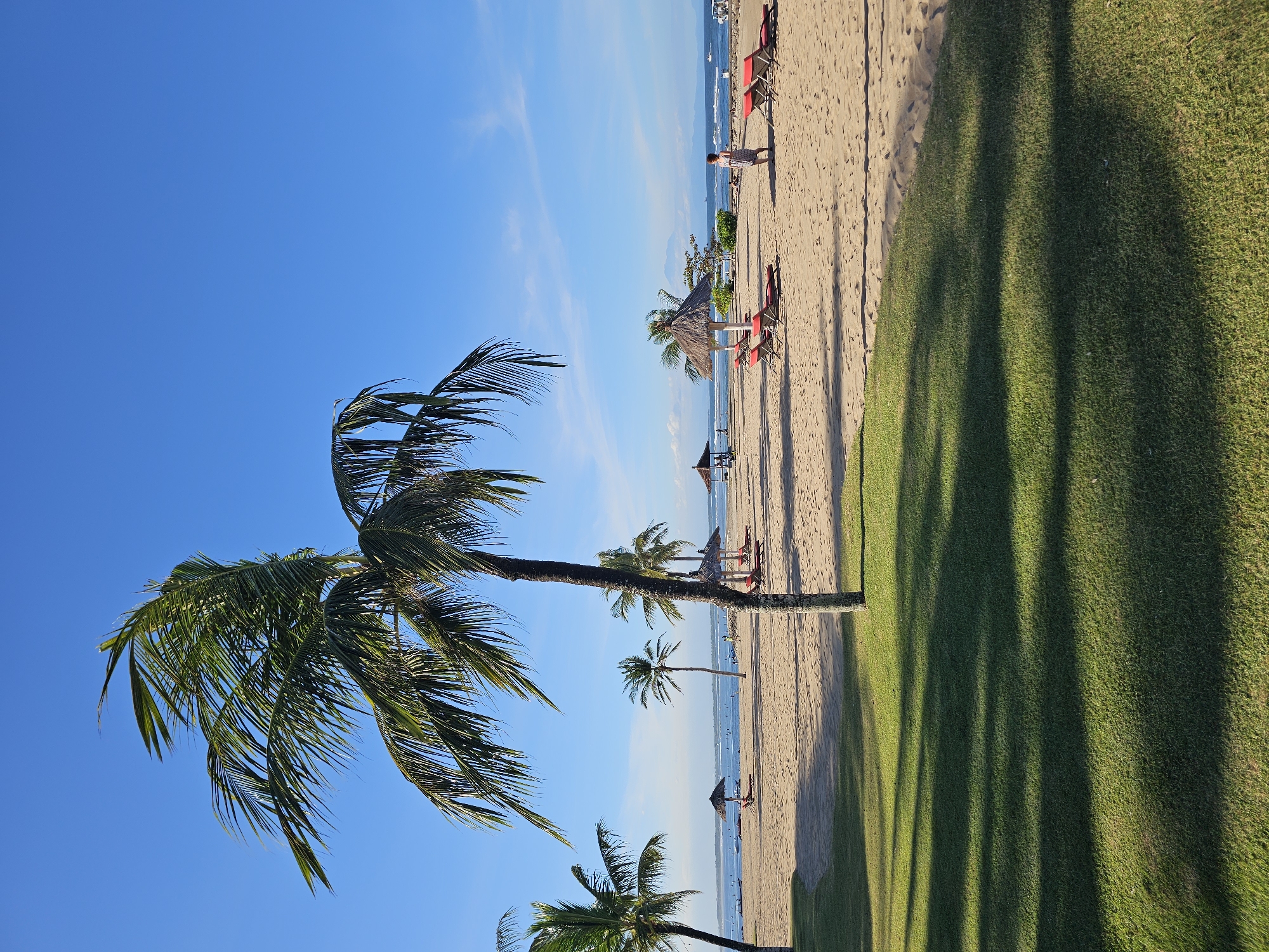The image depicts a beach scene in Kuta Selatan, Indonesia. The clear blue sky is partially obscured by palm trees. The beach features a sandy area with scattered beach umbrellas, chairs, and individuals. The adjacent land is covered in green grass, casting shadows. A person is walking on the beach near the water.