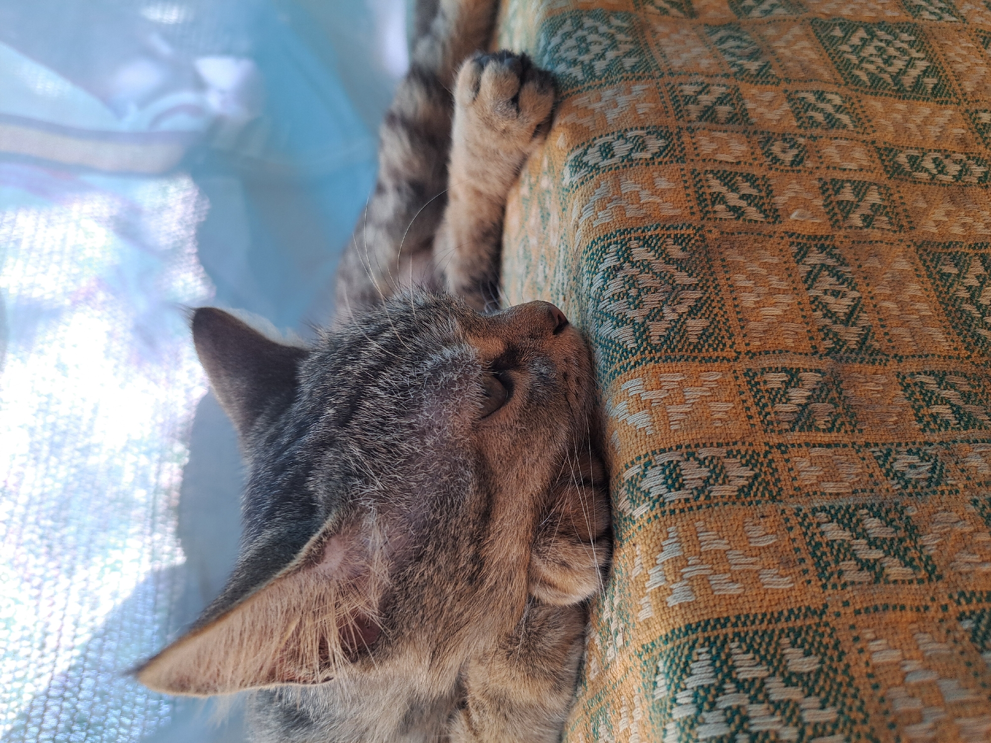 A tabby cat sleeps on a patterned fabric surface, its head resting on its paws. The fabric is predominantly orange with a repeating geometric pattern in green and off-white. The background consists of a blurry, light blue and white translucent material, possibly a curtain or screen, with sunlight filtering through. The scene is brightly lit, suggesting it is daytime. The cat is facing to the right, with its eyes closed and its fur appearing soft and slightly disheveled from sleep. The image is a close-up shot, focusing on the cat and the textured fabric.