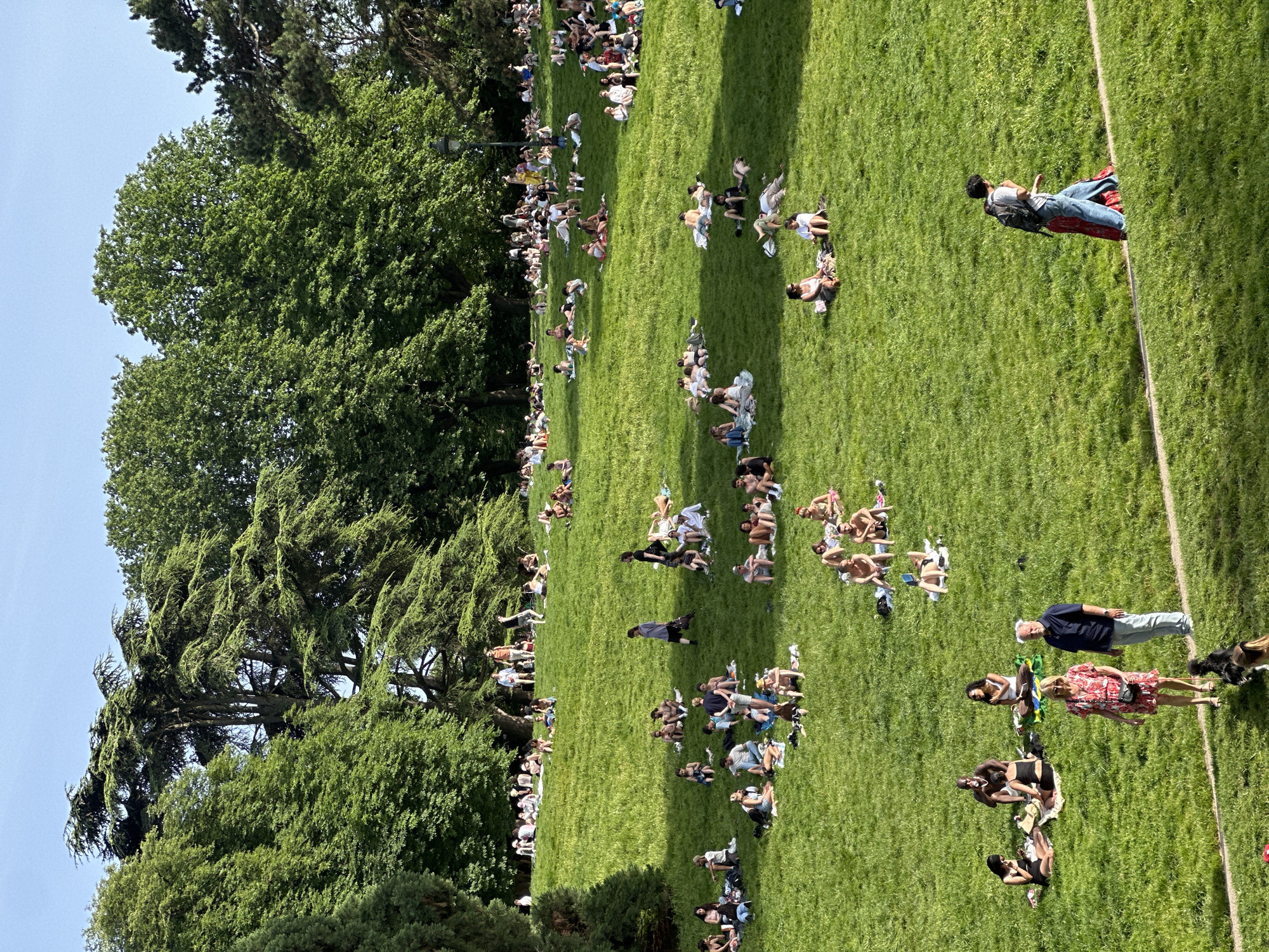 An aerial view shows a large grassy field populated with many people relaxing, sunbathing, and socializing on a sunny day. The scene is dominated by the green grass, interspersed with small groups and individuals scattered across the area. Some people are lying down, some sitting, and some are conversing with others. Trees line the perimeter of the field, particularly on the left side, providing shade in certain areas. In the background, additional figures can be seen, indicating a continuation of the populated area. A visible white line separates the grass from a road. There are two people walking with dogs on the right-hand side of the field. This location is possibly Champ de Mars, Paris.