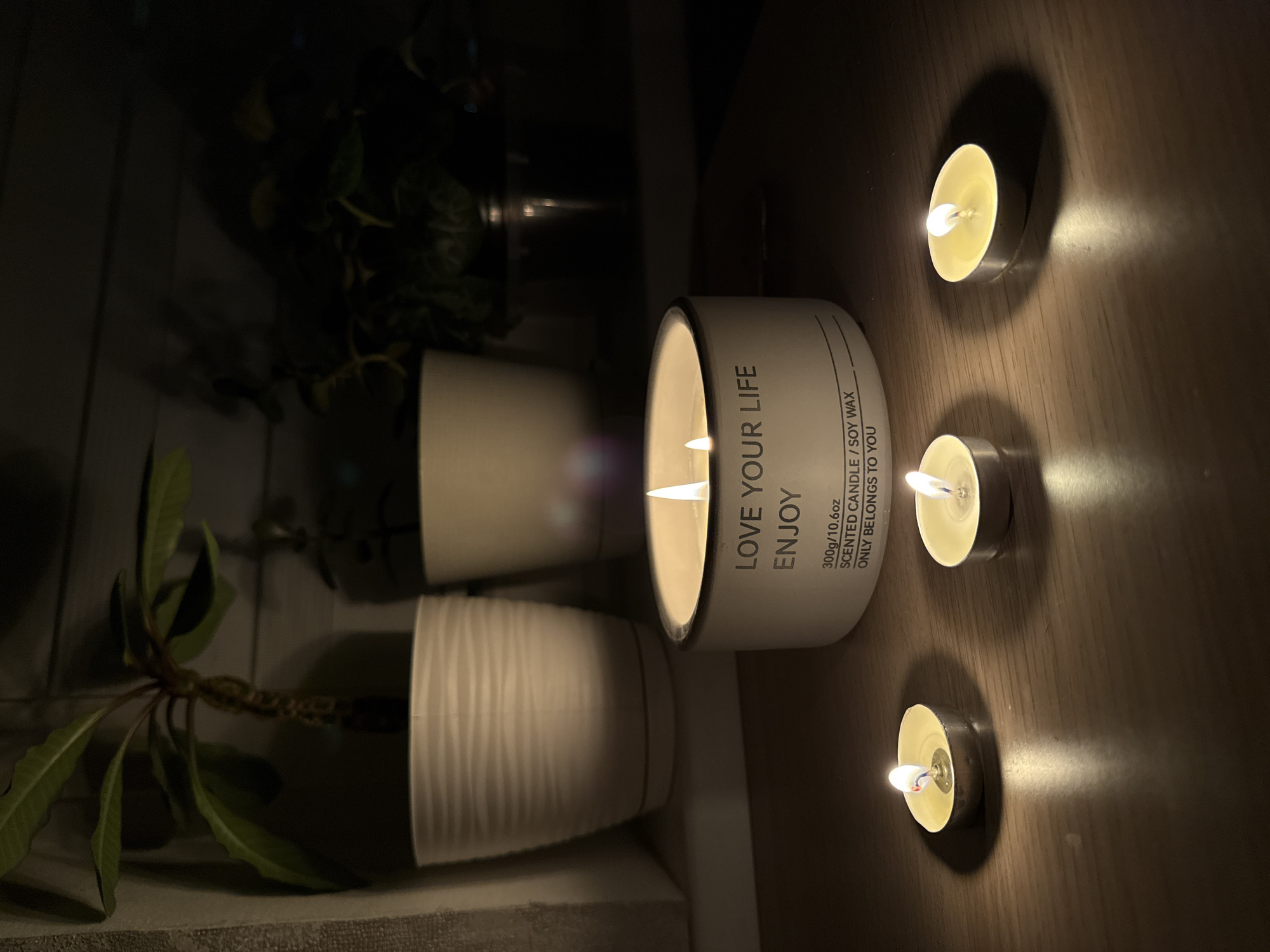 This portrait-oriented media file displays a peaceful, dimly lit indoor scene in Moscow, Russia, primarily illuminated by candles. The setting features a dark wooden surface, likely a table or shelf, hosting a prominent display of candles.
On the right side of the frame, a large, white cylindrical candle stands upright, its single flame casting a warm, soft glow. Text printed on the candle reads: "LOVE YOUR LIFE ENJOY", "300g/10.6oz", "SCENTED CANDLE / SOY WAX", and "ONLY BELONGS TO YOU". To the left of this large candle, three smaller tea light candles are arranged vertically along the wooden surface. Each tea light burns with a small, bright flame, creating distinct pools of light and subtle shadows on the dark wood.
The background, situated on the left side of the image, reveals two potted plants. One plant, with broad green leaves, is housed in a textured white pot on a lower surface. Above and slightly behind it, another plant with greener foliage is partially visible in a plain white pot. The overall environment is dark, suggesting evening or nighttime, with the candles serving as the primary light source, enhancing a cozy and tranquil atmosphere. A blurred reflection is noticeable in the upper left background, possibly from a window or reflective surface.
