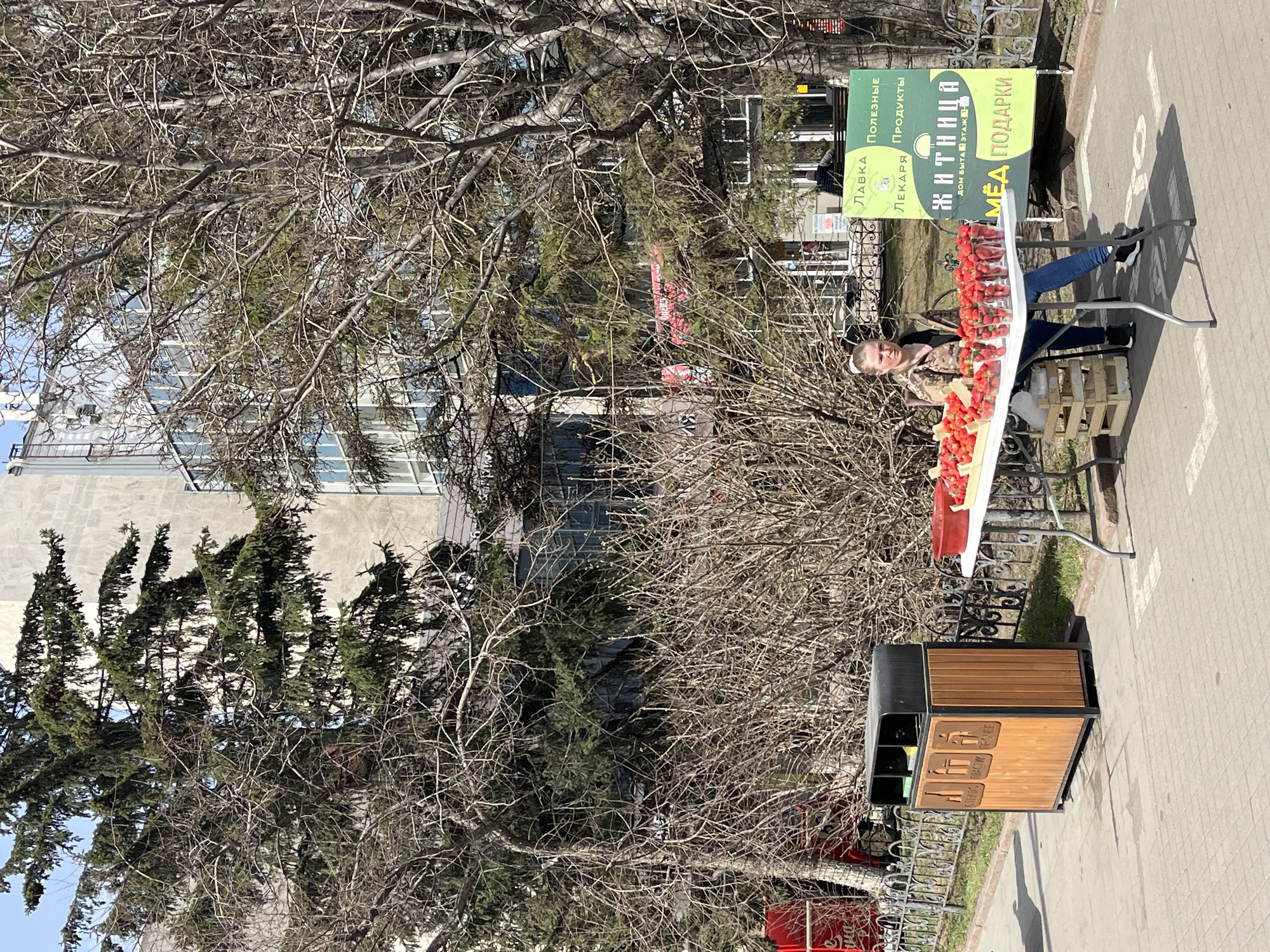 A vendor sits behind a table selling strawberries in a city in Unknown, Unknown. The table is laden with red strawberries. A sign behind the table is written in Cyrillic. The vendor, with blonde hair, wears a camouflage patterned jacket. A trash receptacle made of dark metal and wood is positioned near the sidewalk. Bare trees fill the scene. A building with multiple windows is in the background. The ground is paved. A wrought iron fence runs along the periphery of the sidewalk.