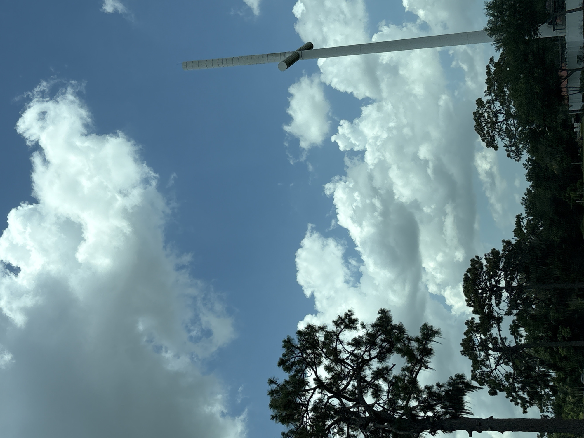 The image captures a view looking up at a bright blue sky with scattered white clouds. A tall, white, cylindrical structure, possibly a tower or a pole, extends from the upper left towards the upper right of the frame. Attached to this structure, near the middle right of the image, is a cross-like extension, also white. The base of this structure is not visible.
In the lower half of the image, the dark silhouettes of pine trees create a stark contrast against the sky. Their branches and needles are intricate against the bright clouds. To the right of the trees, a row of darker green trees forms a dense line, with hints of buildings or structures behind them, suggesting an urban or suburban edge.
The lighting indicates it is daytime, likely late morning or early afternoon, with the sun casting bright illumination on the clouds and the white structure. The overall mood is serene and perhaps a bit imposing due to the height of the structure.
No people are visible in the image. There is no visible text. The scene appears to be outdoors, with the sky and trees being the dominant elements. The location is suggested to be Bradenton, United States.