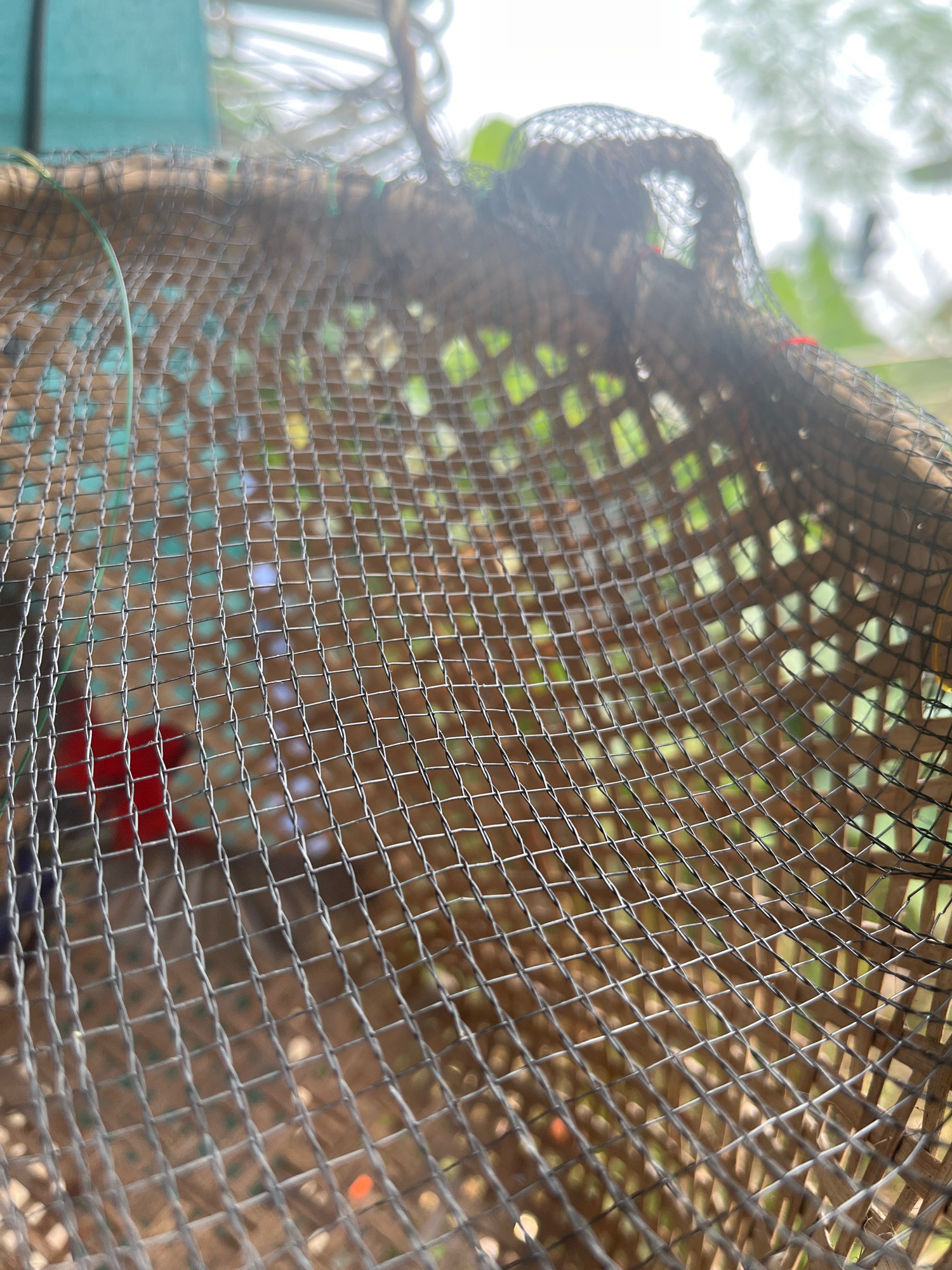 The image shows a close-up of a woven bamboo container covered with a fine mesh netting. The netting is square-shaped with small openings. The container appears to be outdoors, with blurred green foliage and a light-colored sky visible in the background. There are hints of red and blue objects within the container, possibly items or debris. The scene is likely located in Meliau Hulu, Indonesia, given the context.