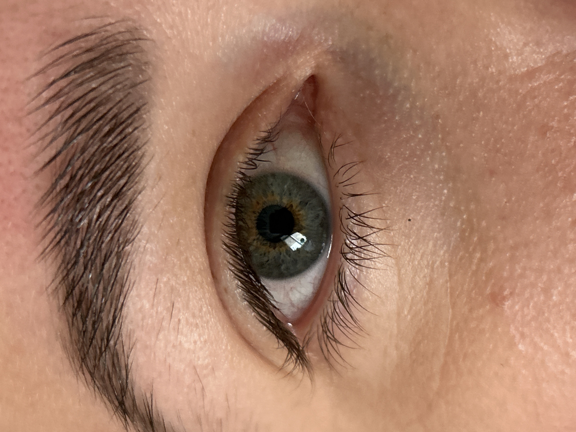 This media file features a very close-up, high-resolution portrait of a human eye and its immediate surrounding facial features. The eye is open, revealing a hazel-colored iris that exhibits a mix of green and brown tones, with a darker ring defining the pupil. The pupil itself is black and appears dilated. Clear reflections of light sources, possibly windows or artificial lights, are visible within the pupil and on the surface of the iris, indicating an indoor setting.
Both the upper and lower eyelashes are dark, long, and distinct, showing individual hairs. To the left, a thick, dark brown eyebrow is prominent, with its individual hair strands sharply in focus, suggesting it is well-defined. The skin surrounding the eye is light-toned, displaying visible pores and fine textural details characteristic of a macro photograph. There are no obvious signs of heavy makeup.
No specific activity or event is taking place; the image is a static, detailed shot of the eye. The subject's expression appears neutral. There are no explicit location cues, time of day indicators, or visible text within the frame, beyond the general implication of an indoor environment due to the light reflections. The image quality is sharp, capturing minute details of the eye and adjacent skin.