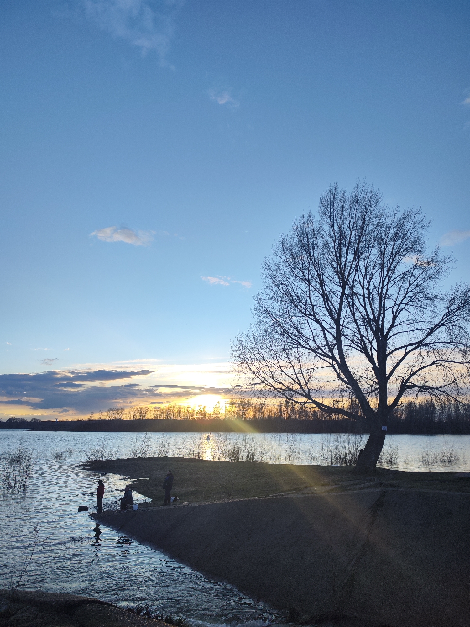 The image depicts a sunset scene in Chaikovsky, Russia. Three individuals are located on a small peninsula jutting into a body of water, presumably the Kama River given the location. One individual is standing at the water's edge, and two individuals are seated. There's a bare tree standing prominently on the peninsula, casting shadows onto the ground. The sun is setting on the horizon, and its light is reflecting on the water surface. The sky has clear blue color in the top portion and color of sunset towards the horizon. The water is gently rippling, and there's a small outflow of water in the foreground.