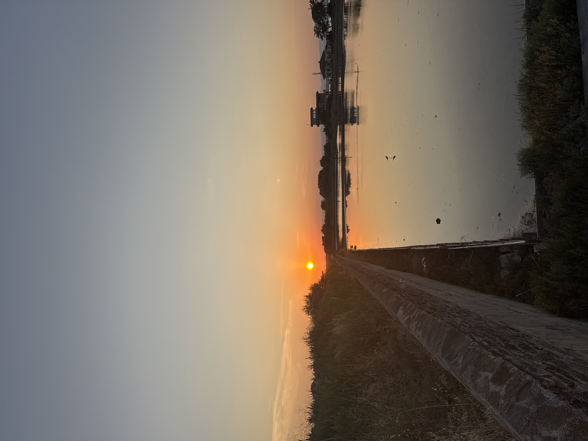 The image shows a serene sunset over the salt pans of Pomorie, Bulgaria. The sky transitions from a pale blue at the top to a warm orange hue near the horizon, where the sun is setting. A calm body of water, likely a salt pan, occupies the right side of the frame, reflecting the colors of the sky. A small bird is visible standing on the edge of the water. The left side of the image features a stone wall running along the edge of the water, with tall grasses and vegetation growing on its surface and beyond. In the distance, across the water, are several buildings, including a distinctive multi-story structure that appears to be an observation tower or administrative building, along with houses and trees. The overall scene depicts a peaceful, natural landscape bathed in the soft light of dusk.