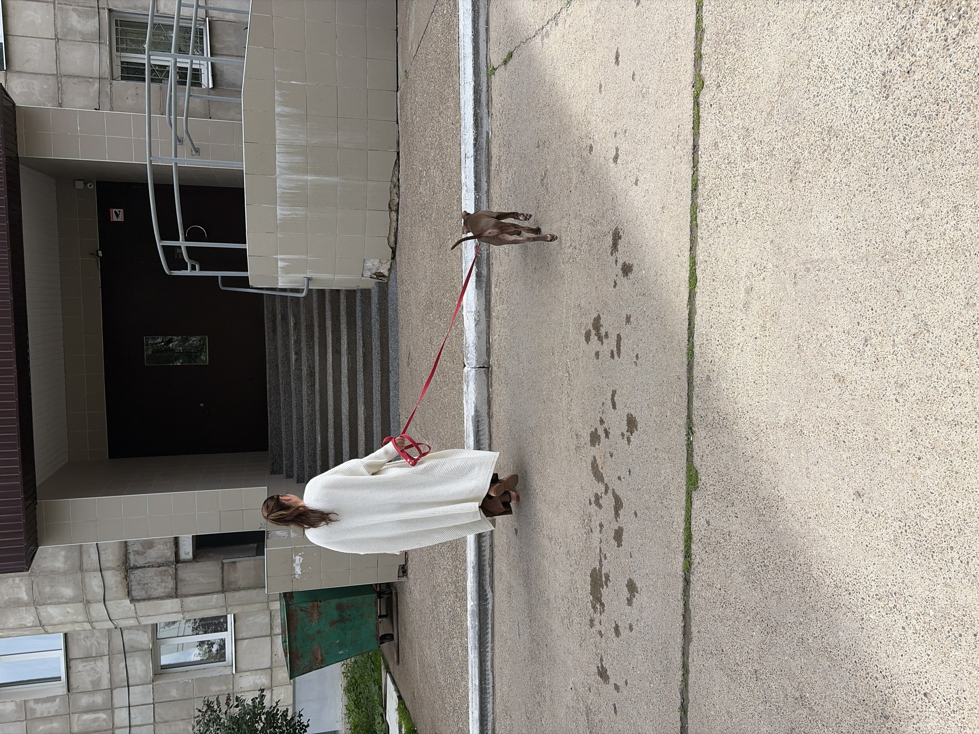 A woman with her back to the camera is walking a small brown dog on a red leash. The woman is wearing a long white cardigan and brown pants. The dog is walking ahead of her on the asphalt. The scene takes place in front of an apartment building with a dark brown entrance door, a set of concrete stairs, and a beige tiled facade. To the left of the entrance is a large green metal dumpster. The ground is asphalt with some patches of water and grass growing through cracks. This location is identified as being in Chaikovsky, Russia.