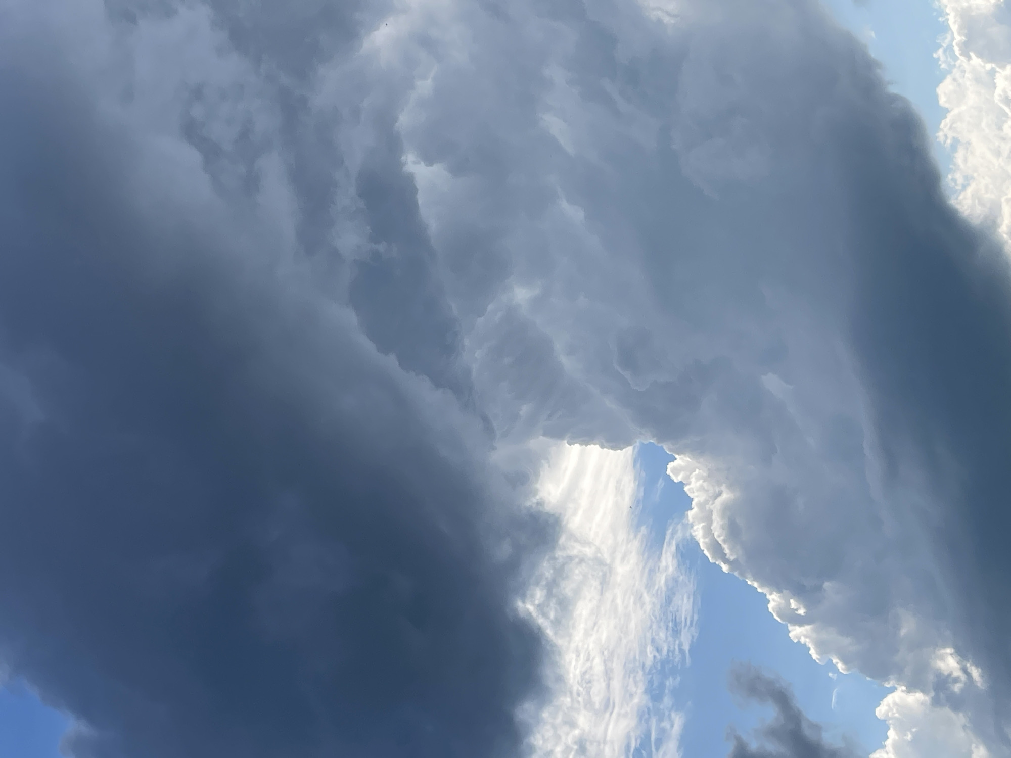 The image shows a dramatic sky filled with dark, ominous storm clouds. The clouds are predominantly gray and blue, with some areas appearing almost black. There are patches of bright white clouds in the foreground, illuminated by sunlight, creating a stark contrast with the darker clouds. A small sliver of blue sky is visible between the cloud formations. The composition is abstract, focusing solely on the textures and dramatic lighting of the clouds. There are no discernible people, objects, or structures in the image, nor any indication of human activity or specific location within the city of Маминское, Russia. The scene depicts a natural weather phenomenon.