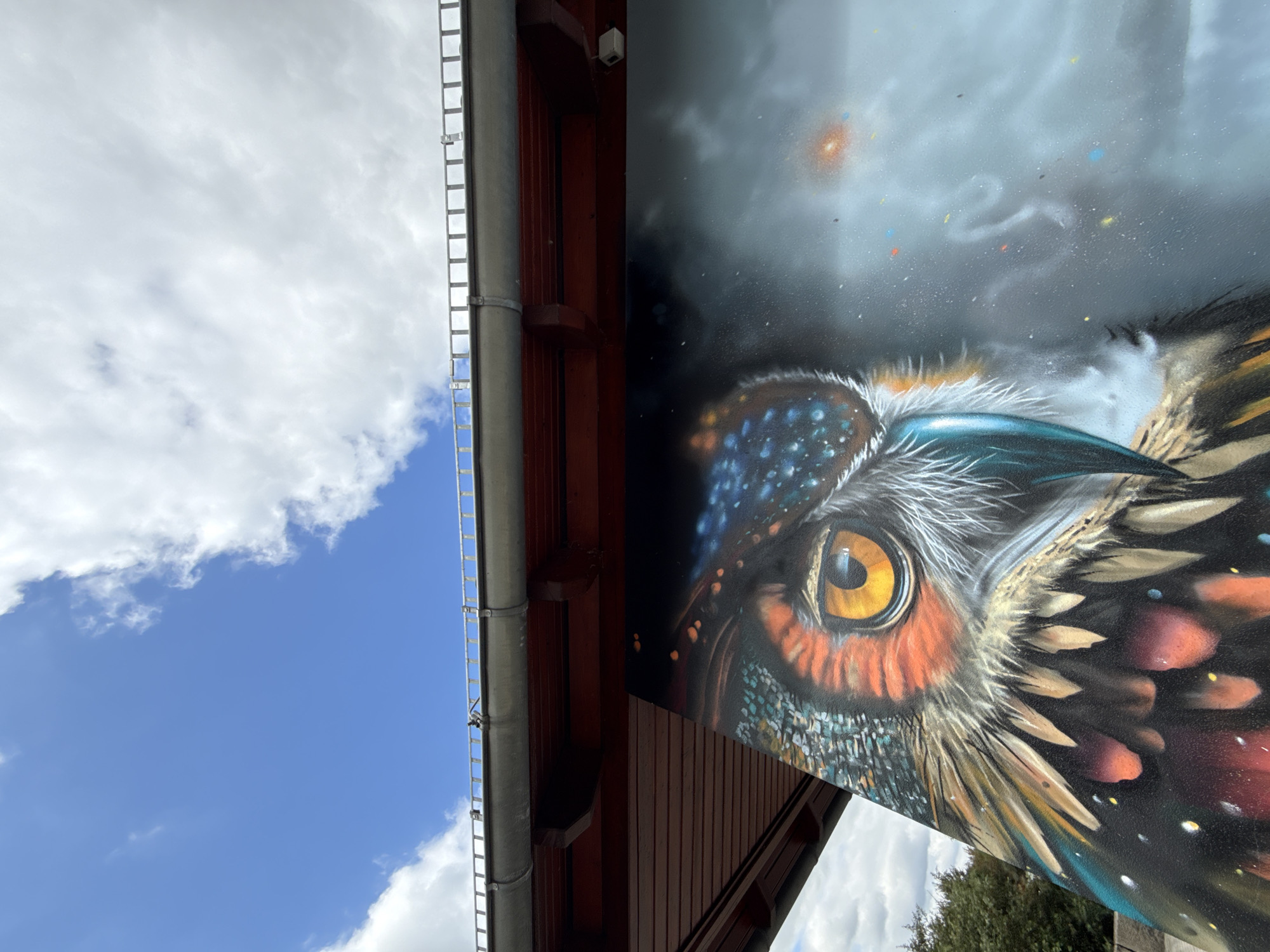 A detailed spray-painted mural of an owl's face is depicted on the underside of a bridge structure in Großpösna, Germany. The owl's large, amber eye is the focal point, surrounded by vibrant orange, brown, and grey feathers. The artwork extends to the right, fading into a smoky, grey background with small, colorful specks that suggest stars or distant lights. Above the mural, the red wooden beams and grey gutters of the bridge are visible, along with a metal railing. The sky above is a bright blue, dotted with fluffy white clouds. A small security camera is mounted on the underside of the bridge to the right of the frame.