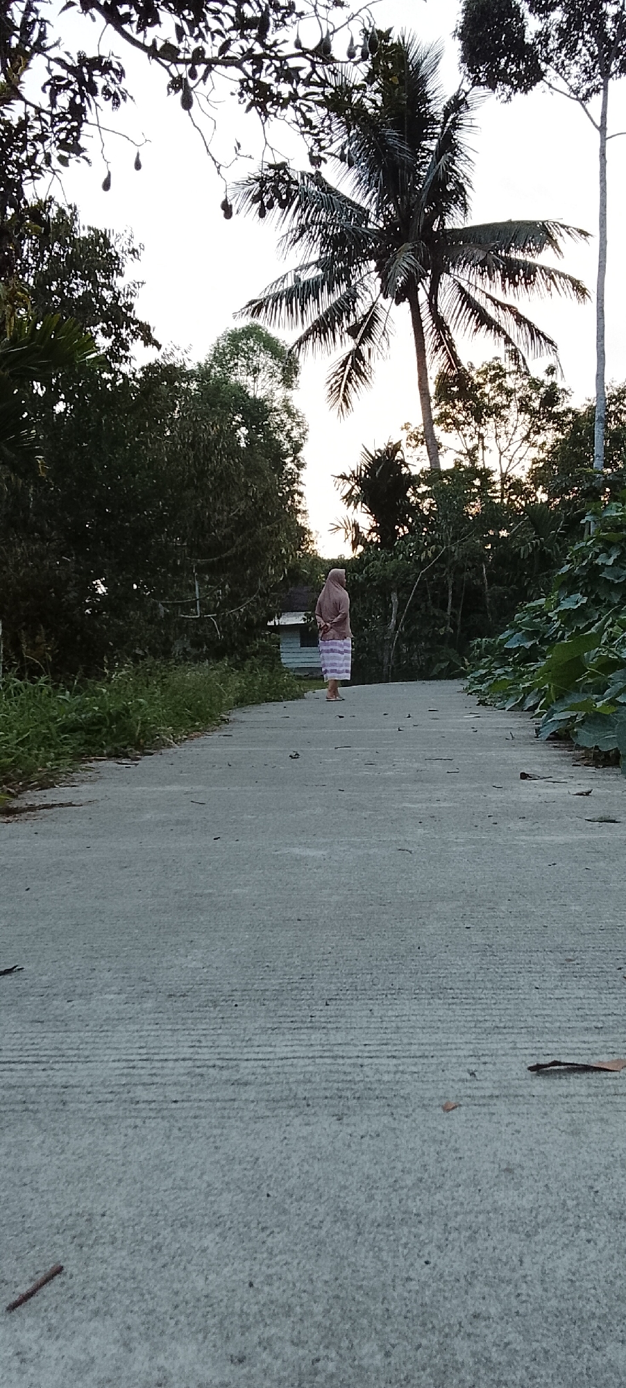 An outdoor, low-angle, full shot captures a concrete pathway in Padang Dalom, Indonesia, with lush greenery and trees bordering both sides. A lone figure, dressed in a hijab and a long skirt with white and pink stripes, stands with their back to the camera, facing a small, light blue and white building situated amongst the dense foliage. The sky above is a pale white, suggesting it is either dawn or dusk. The pathway itself is gray and textured with parallel lines, and a few dry leaves are scattered across its surface. The overall scene evokes a sense of rural tranquility.