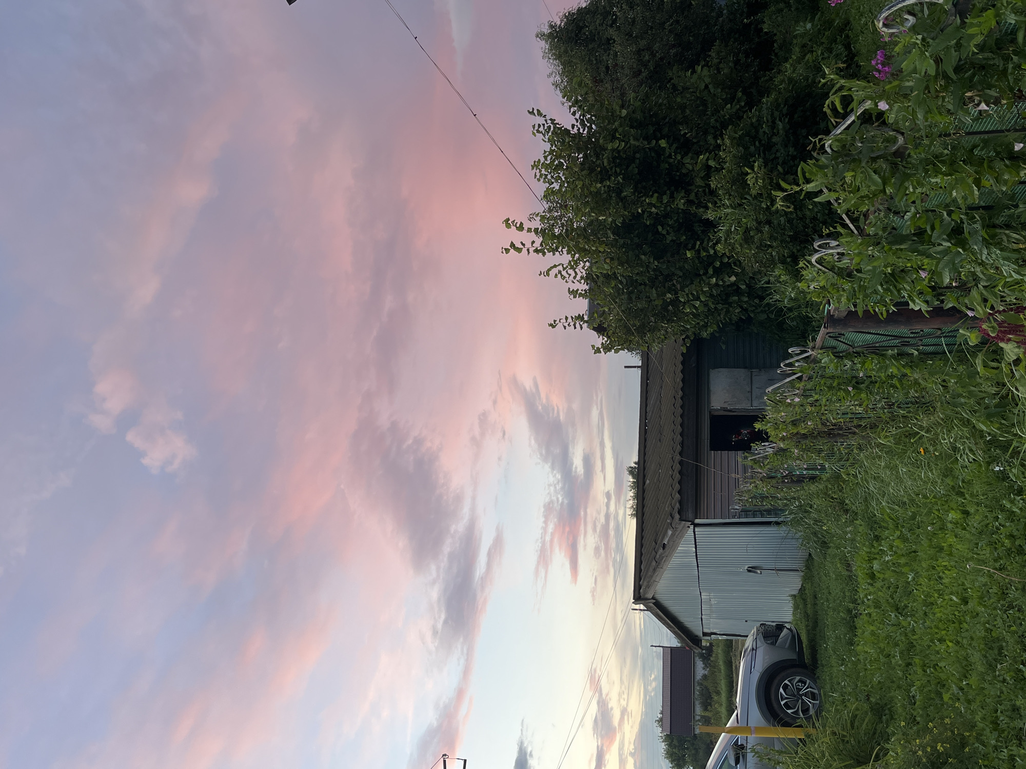 The image depicts a suburban scene in Большой Гондыр, Russia, under a twilight sky painted with hues of pink and blue. A corrugated metal garage with a dark roof stands centrally, its open doorway revealing a dark interior. To the left of the garage, the front of a modern grey car is visible, parked on a grassy area. A metal fence, partially covered in green foliage and adorned with decorative scrollwork, separates the foreground from the garage. Lush green grass and various plants, including some with small pink flowers, dominate the foreground. In the background, a small house with a dark roof and trees can be seen. Power lines are visible stretching across the sky. The overall atmosphere is tranquil, illuminated by the soft light of sunset.