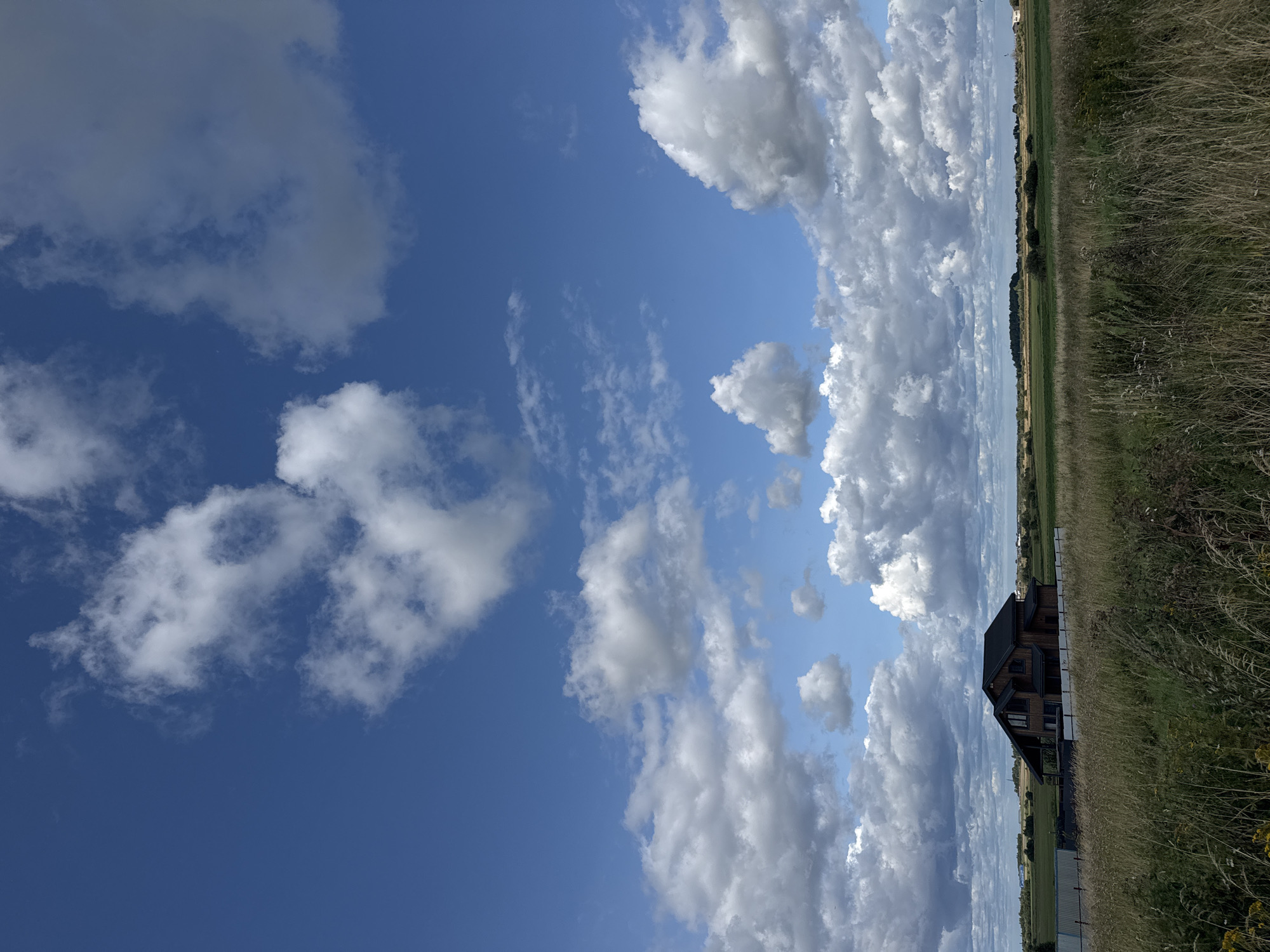 An eye-level, medium shot captures a wooden house situated in a field under a vast blue sky filled with scattered clouds. The house, dark brown in color with a black roof, is angled towards the right of the frame. In the foreground, tall, dry grass dominates the scene, some of it appearing yellowed. Beyond the house, a flat green field stretches to the horizon, dotted with trees and some structures in the distance. The sky is a vibrant blue, with fluffy white clouds scattered throughout, some appearing larger and more defined than others. The overall impression is one of a rural landscape under a partly cloudy sky.