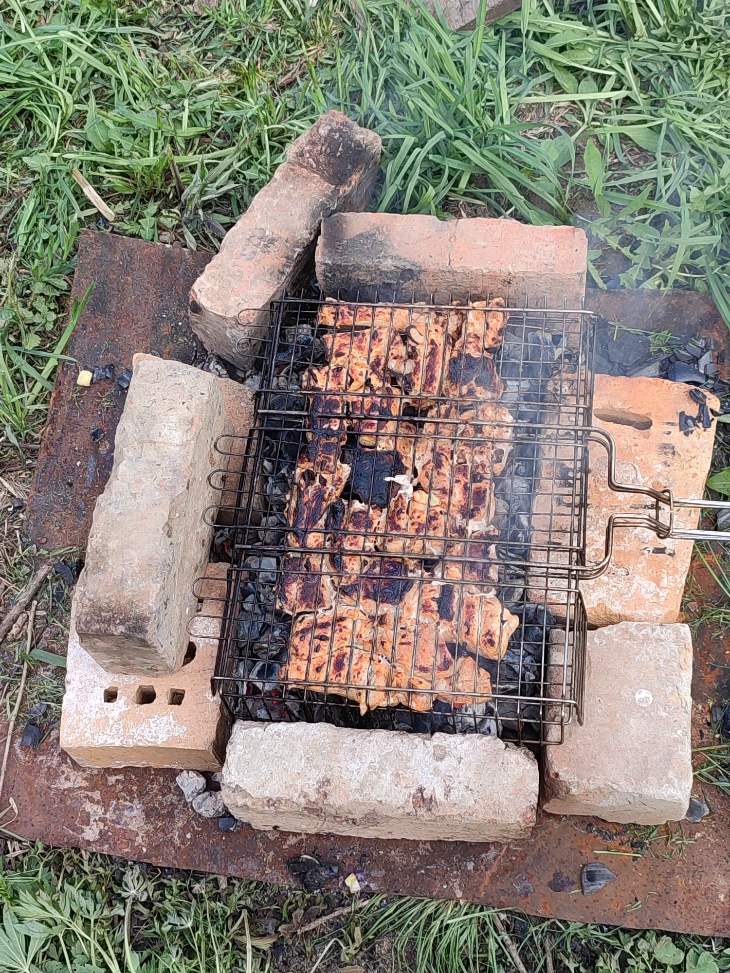 A makeshift outdoor grill, constructed with bricks, rests on a rusted metal sheet amidst grass and vegetation. A wire grill filled with skewered meat, some pieces charred, sits atop burning charcoal. Smoke rises from the grill.