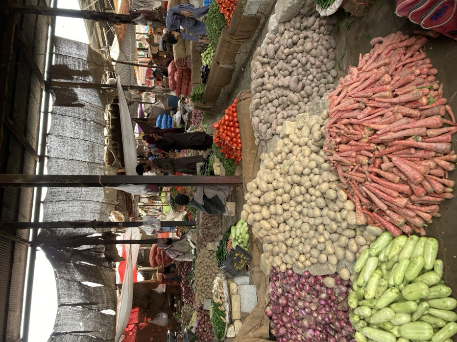 This image depicts a bustling indoor vegetable market within Quetta City Tehsil, Pakistan. The scene is characterized by numerous large, organized piles of fresh produce displayed directly on the ground or on low, rough-hewn concrete and wooden platforms. The overhead structure consists of corrugated metal roofing partially obscured by tattered, dark fabric tarps and supported by wooden and metal posts, allowing natural light to illuminate the market.
In the foreground and midground, prominent mounds of vegetables include light brown potatoes, red-skinned potatoes, red onions, green squash, and a large pile of red-orange carrots. On raised platforms, bright red tomatoes are stacked, alongside various greens, green beans, eggplants, and root vegetables like ginger and garlic in smaller quantities. A black plastic crate containing green vegetables is visible on a lower platform.
Approximately eight to ten individuals are visible within the market. In the mid-left, a young boy in a light shalwar kameez and dark waistcoat sits on a low platform. Near him, an adult male in a dark brown shalwar kameez stands facing left. Another adult male in a darker brown outfit is visible holding a phone to his ear. To the far right, an adult male in a light blue shalwar kameez bends over a display of green vegetables, appearing to select or arrange them. In the background, several other individuals, primarily adult males in traditional attire, are present amidst the stalls, some appearing to interact with produce or converse. Various burlap sacks and blue plastic bags are used for storage or transport of goods throughout the market.