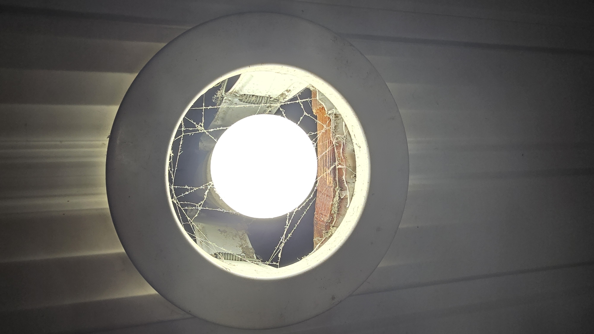 A low-angle, close-up shot captures an overhead light fixture, likely in Novohuivynske, Ukraine. The fixture is a white circular housing with a bright, round light bulb at its center. Visible behind the light bulb, within the fixture's opening, are cobwebs, debris, and what appears to be a fragment of a wooden beam. The exterior of the fixture is mounted against a textured surface, possibly a corrugated metal ceiling, characterized by vertical ridges and shadows.