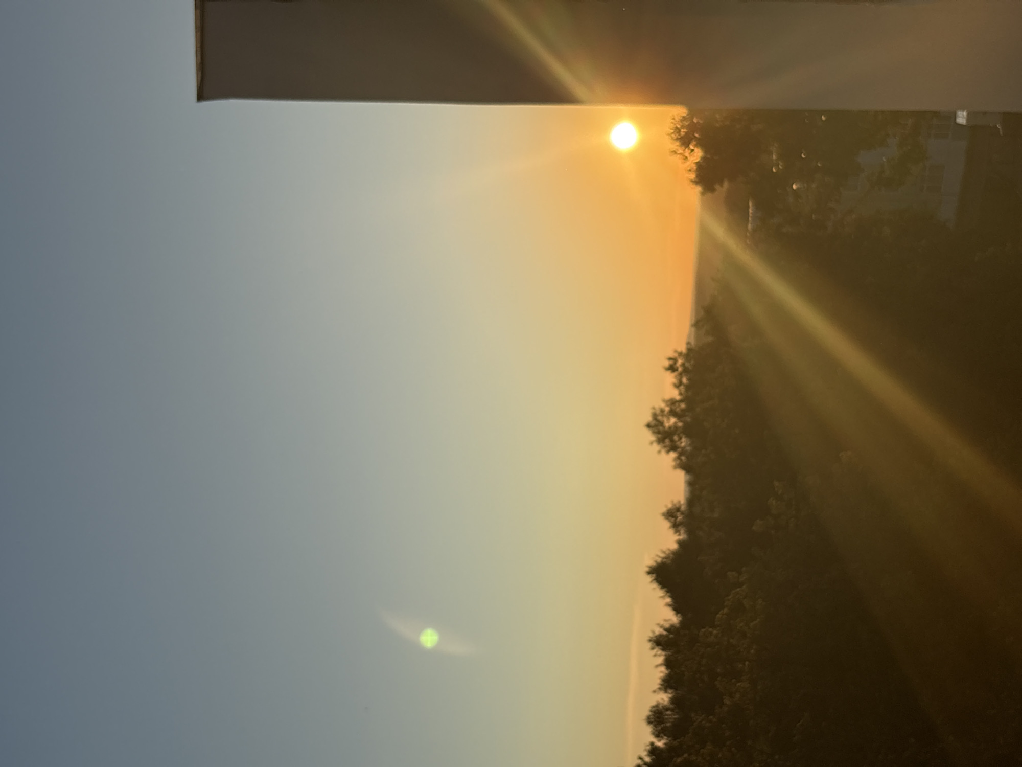 A vertical, slightly low-angle, full shot captures a sunset with a bright sun visible in the upper right quadrant of the frame, casting strong, golden rays across the scene. The sky transitions from a pale blue at the top to a warm orange and yellow near the horizon. A light green lens flare with a distinct circular pattern is visible in the upper left portion of the sky. The right edge of the frame is dominated by the side of a white building. Below the sky, a dense line of silhouetted trees stretches across the mid-ground, with hints of buildings and more trees visible further in the distance. The sun is low, appearing to be setting behind the treeline, and the light beams create diagonal streaks across the lower half of the image, illuminating dust particles or mist in the air. The image is a photograph taken in Chaikovsky, Russia, during sunset.