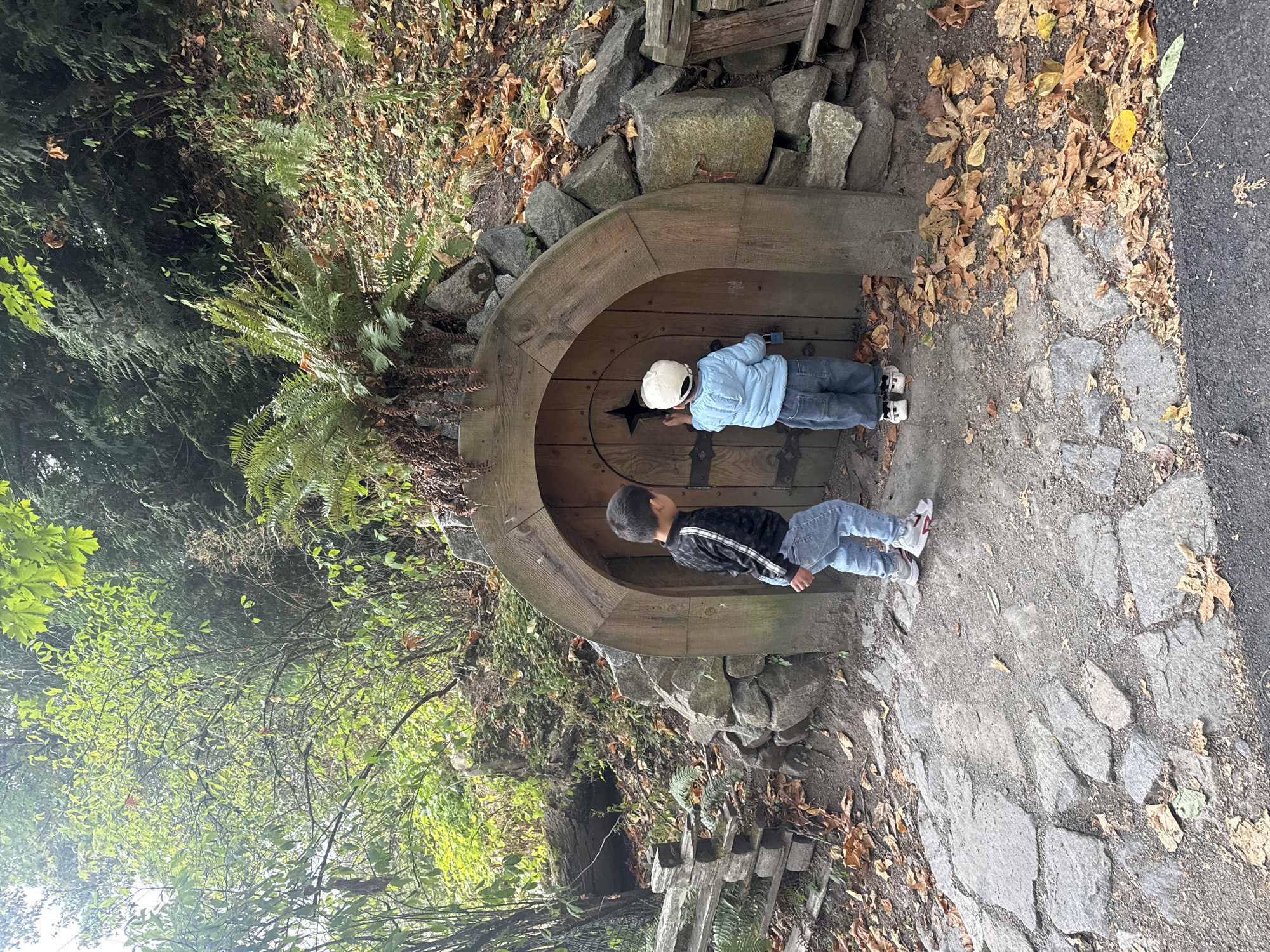 Two young boys are standing in front of a small, arched wooden door set into a hillside. The door has a star-shaped knocker. The boy on the left, wearing a black jacket with white stripes and blue jeans, is facing the door. The boy on the right, wearing a light blue jacket, white cap, and blue jeans, has his hand raised towards the door, as if knocking or trying to open it. The hillside is covered in rocks, dirt, and fallen autumn leaves. Lush green foliage and trees are visible behind and above the hillside. A rustic wooden fence is to the left of the door. The scene appears to be in a park or natural setting. This fairy door is located in Como Lake Park in Coquitlam, British Columbia, Canada.