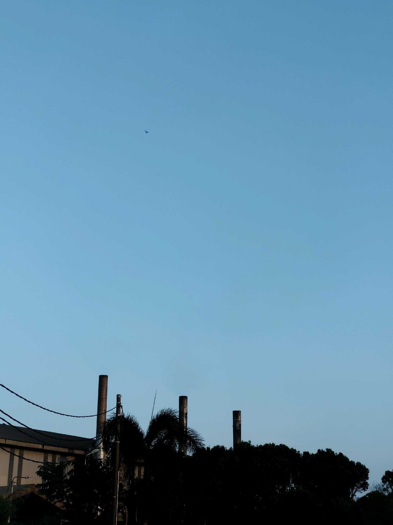 The image depicts a clear blue sky with a small bird in flight in the upper left quadrant. In the lower third of the image, silhouetted against the sky, are the tops of several industrial smokestacks and the roofline of a building. There is also a dense line of dark trees and palm trees obscuring the lower portion of the scene. Power lines are visible stretching across the left side of the image. The overall impression is of an industrial area on the outskirts of a city, possibly Batam, Indonesia, at a time when the sky is clear and the sun is not directly overhead.