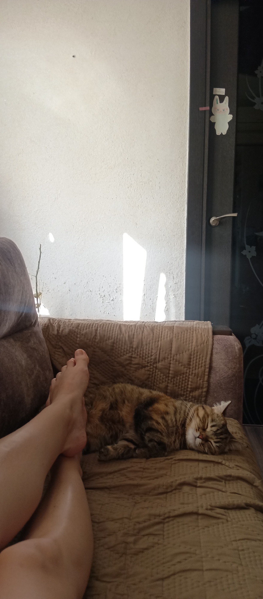 A medium, eye-level shot captures a sleeping cat on a brown sofa, with a person's legs and feet also visible. The cat, a tabby mix with brown and black stripes, is curled up comfortably, its eyes closed. The person's legs extend into the frame from the left, with the foot closest to the camera. The sofa is covered in a quilted brown fabric. In the background, a light-colored wall is visible with a bright patch of sunlight illuminating part of it. To the right of the wall is a dark door with a silver handle and a small white sticker attached to it. The location appears to be indoors, possibly a living room.