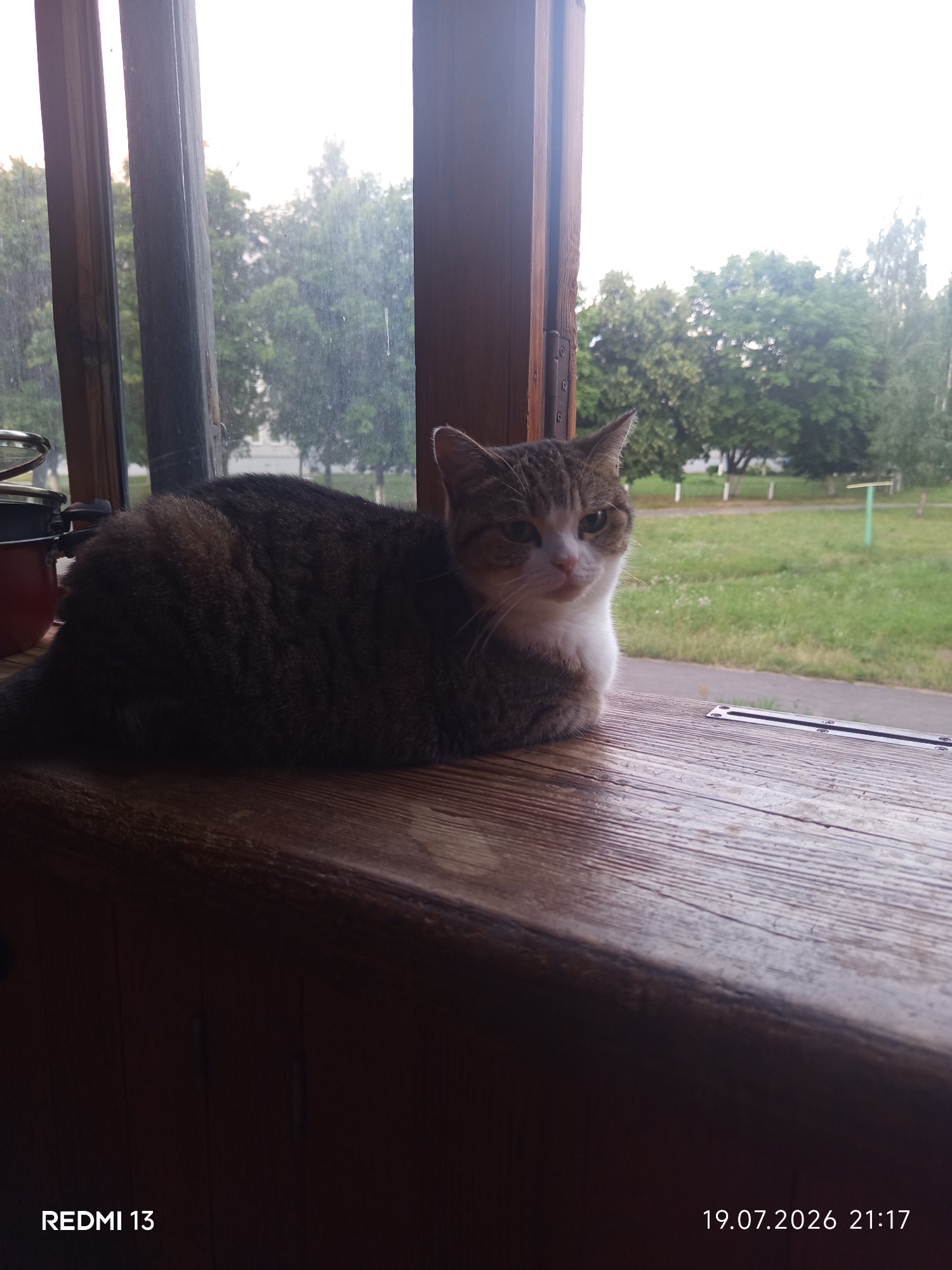 A tabby cat with white markings on its face and chest is lying on a wooden windowsill, looking towards the camera. The cat is positioned in the center of the frame, with its body extending to the left. Behind the cat is a window showing a blurry background of trees and a lawn. The wooden windowsill appears worn and textured. In the foreground, at the bottom left of the image, the text "REDMI 13" is visible, and at the bottom right, the date and time "19.07.2026 21:17" are displayed. This image does not contain enough information to determine a specific location within the city of Barysaw, Belarus.