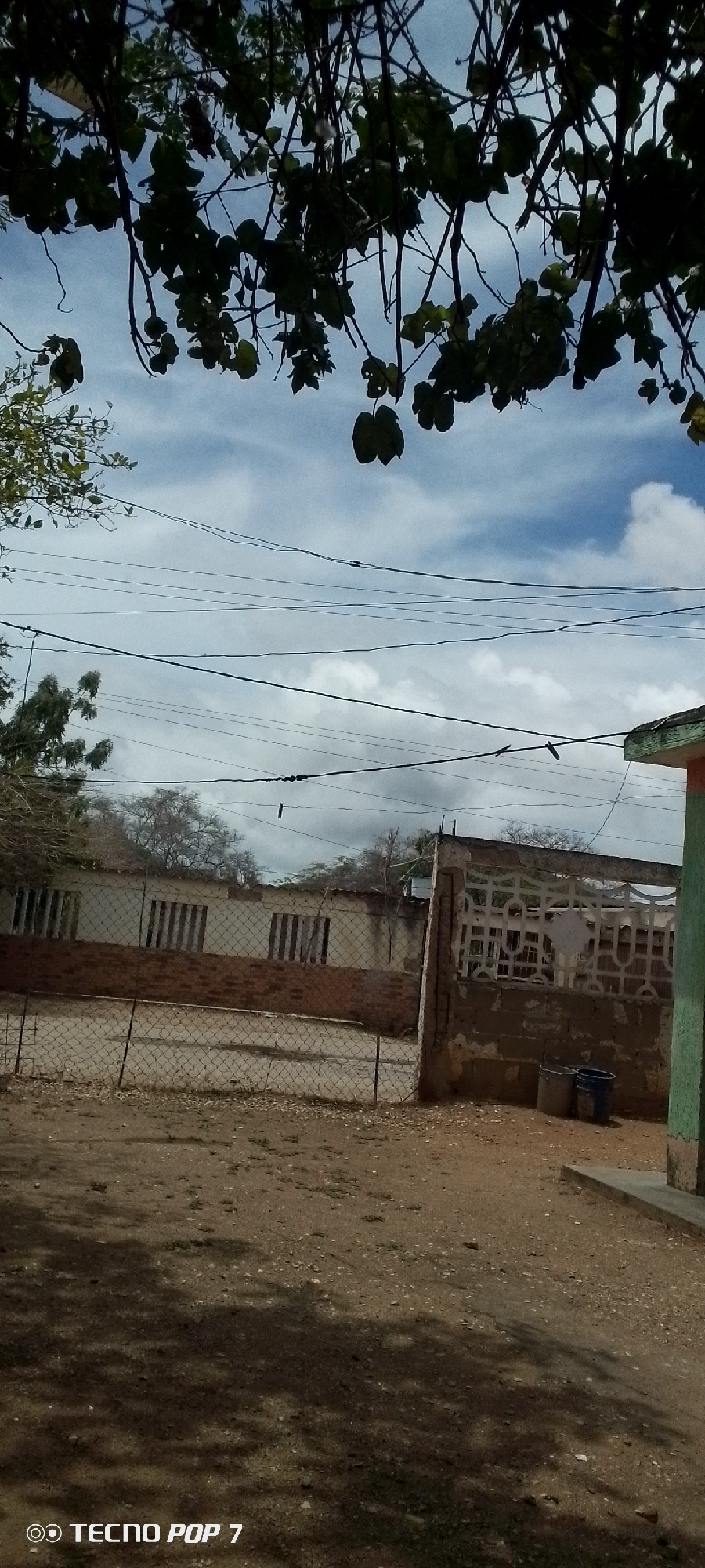 The image depicts an outdoor, semi-rural or residential scene in the city of Altagracia, Venezuela, captured in daylight. The upper portion of the frame is dominated by dark, out-of-focus green foliage and branches of an overhead tree, silhouetted against a bright, partly cloudy sky. The sky shows patches of light blue interspersed with white and grey cumulus clouds.
Horizontally across the mid-upper section of the image, multiple black electrical or utility lines are stretched. On the lowest of these lines, several small, dark objects resembling clothespegs are visible, suggesting it may also serve as a clothesline.
The midground features a chain-link fence, partially obscured and somewhat damaged, running from left to right across the scene. Behind this fence, on the left, are dry, sparse trees with bare branches, indicative of a dry climate or season. To the right of the fence, closer to the viewer, is a section of a concrete wall or fence structure, appearing weathered and featuring decorative geometric cutouts. Below this wall, on the dirt ground, two plastic buckets, one blue and one lighter colored, are present. A portion of a building with a green vertical element and an orange wall is visible on the far right edge of the frame, behind the concrete wall.
In the background, behind the chain-link fence, a single-story building with a white upper facade and a red brick base is visible. It features several rectangular window openings, each fitted with dark, vertical bar-like structures, possibly security bars or closed shutters. Beyond this building, more sparse, dry vegetation extends towards the horizon.
The foreground consists of a dusty, light brown dirt ground with small pebbles and sparse, dry vegetation. Dark shadows, likely cast by the overhead tree foliage, are prominent on the ground, indicating the sun is positioned towards the upper left. The bottom left corner of the image contains a "TECNO POP 7" watermark. No people or animals are visible in the scene.