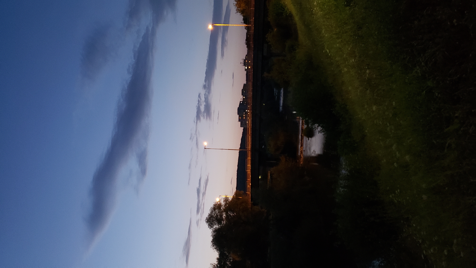 This is a vertical, medium-distance, eye-level shot of a bridge over a river at dusk in Prešov, Slovakia. The sky is a deep blue with a wispy, dark cloud stretching horizontally. The bridge, which appears to be a road bridge with a sidewalk, is lined with streetlights casting an orange glow. The foreground is dominated by dark foliage, with a patch of lighter green grass and small white flowers visible on the right. The river below is dark, with some ripples reflecting the light. Buildings with lit windows are visible on the far side of the bridge, silhouetted against the horizon. The scene is peaceful and evokes a sense of calm transition from day to night.