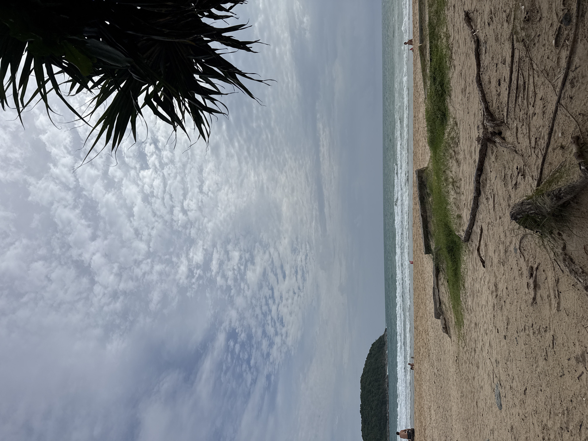 A wide shot of a sandy beach in Rawai, Thailand, under a cloudy sky. In the foreground, the sand is scattered with driftwood and dry vegetation. A patch of green grass is visible to the right of center. Further back, gentle waves break on the shore, and a few people are scattered along the water's edge, some wading in the water and others sitting on the sand. In the distance, a lush green island rises from the turquoise sea. The top right corner of the frame is partially obscured by the dark silhouette of palm fronds.