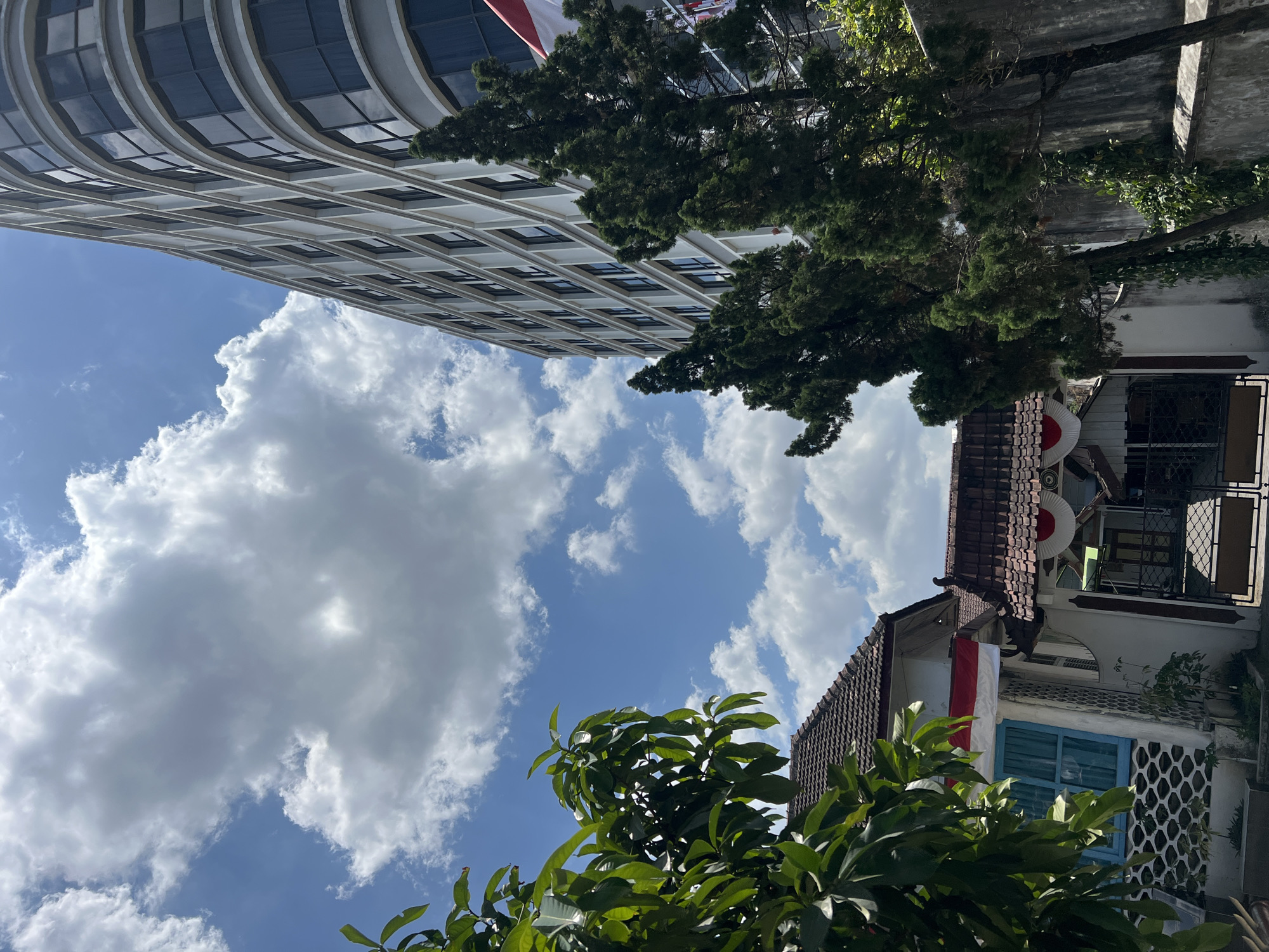 The image captures a view looking upwards, with a striking contrast between a modern, curved building on the right and traditional Indonesian houses on the left. The sky is a clear blue, dotted with fluffy white clouds.
On the left, a traditional white house with a tiled roof is visible, adorned with red and white Indonesian flags, possibly indicating a national celebration. A window with blue shutters is also present. In front of this house, the branches of a leafy green tree partially obscure the view.
To the right of the traditional houses, a tall, modern building with a curved facade rises into the sky. It features numerous windows that appear dark, reflecting the sky. Two tall, dark green evergreen trees stand in front of this building, adding a vertical element to the composition. A grey concrete wall runs along the base of the modern building and the evergreen trees. A partial view of a red and white Indonesian flag is visible on the right side of the modern building.
The scene is likely set in the city of Yogyakarta, Indonesia, given the presence of Indonesian flags and the architectural style of the buildings, which are common in Indonesian cities. The overall impression is one of a blend of old and new, urban and natural elements under a bright, sunny sky.