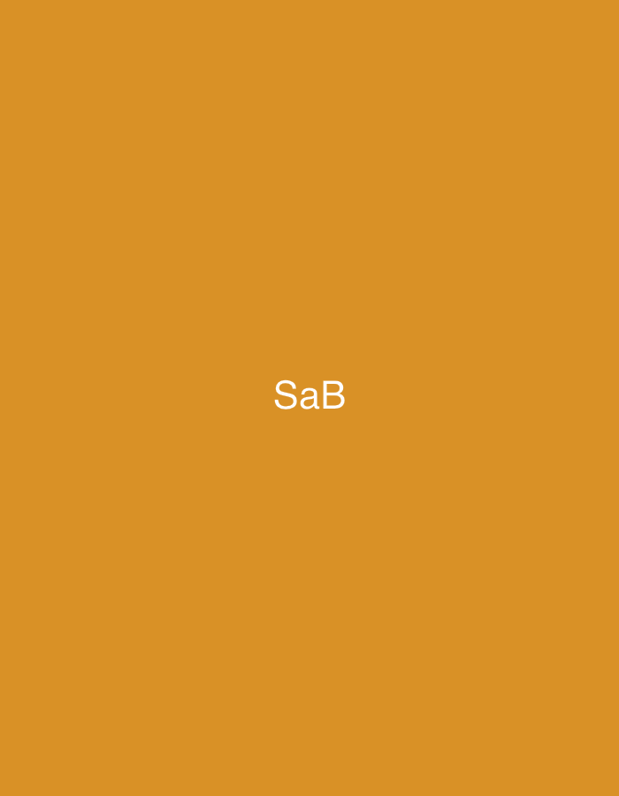The image displays a solid, uniform ochre-colored background. Centered both horizontally and vertically on this background is the text "SaB" rendered in a plain white, sans-serif typeface, with the 'S' and 'B' capitalized and the 'a' lowercase. No people, identifiable objects, or environmental features are present. The image contains no visual information (such as landmarks, architectural styles, or specific geographic markers) that would allow for the determination of a precise geographic location, including the city of Casablanca, Morocco.