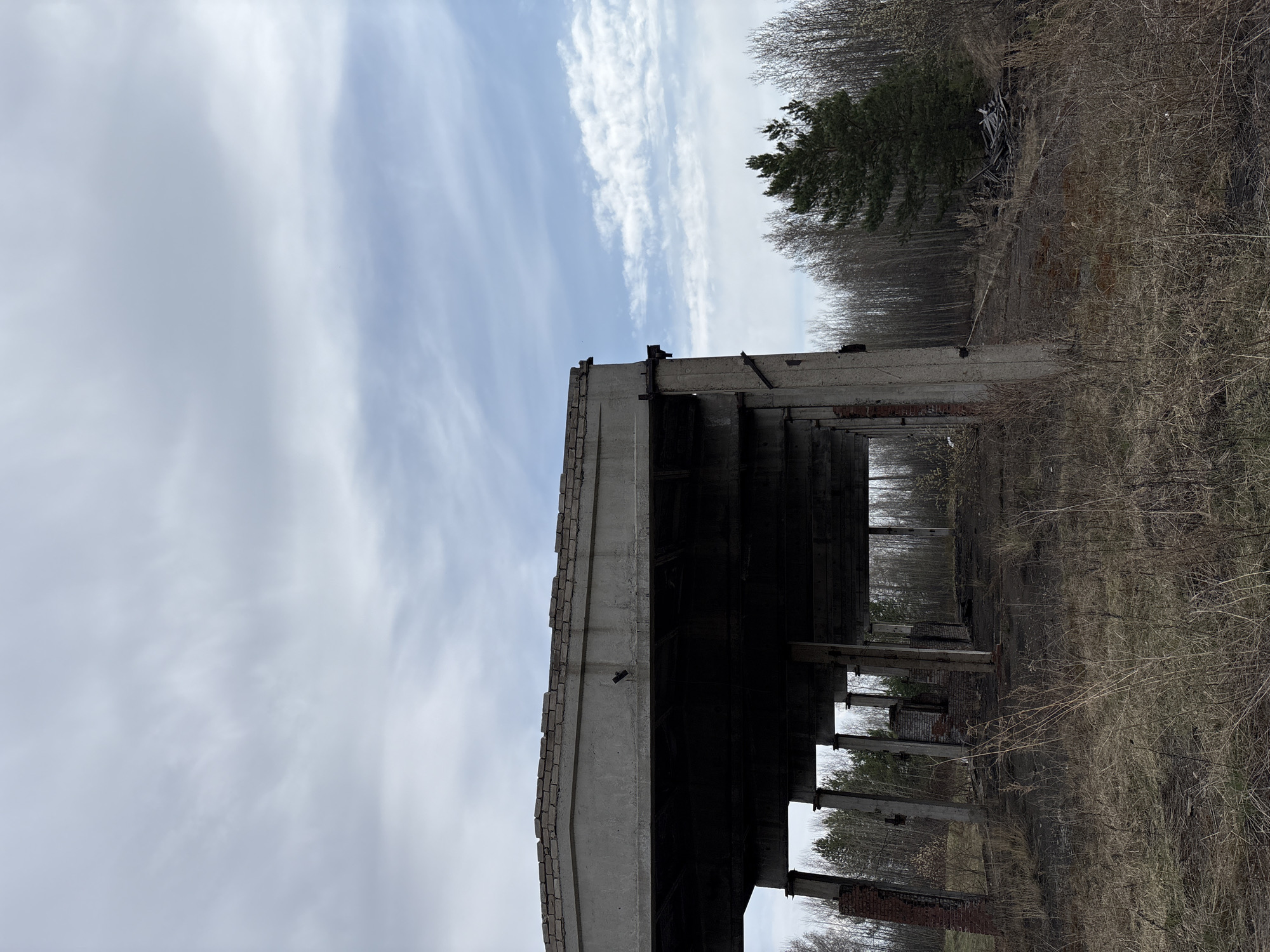 The image shows the ruins of a concrete and brick structure in what appears to be a forest setting. The building is partially collapsed, with only the framework of the roof and some support pillars remaining. The sky is visible through the gaps in the structure, suggesting the absence of a roof. The surrounding environment consists of trees and dry vegetation.
The location is identified as the city of Zheleznodorozhny, Russia. However, this is a general location detail and the specific area or address of the ruins within the city is not discernible from the image. There are no people visible in the frame, and the scene appears desolate and abandoned.