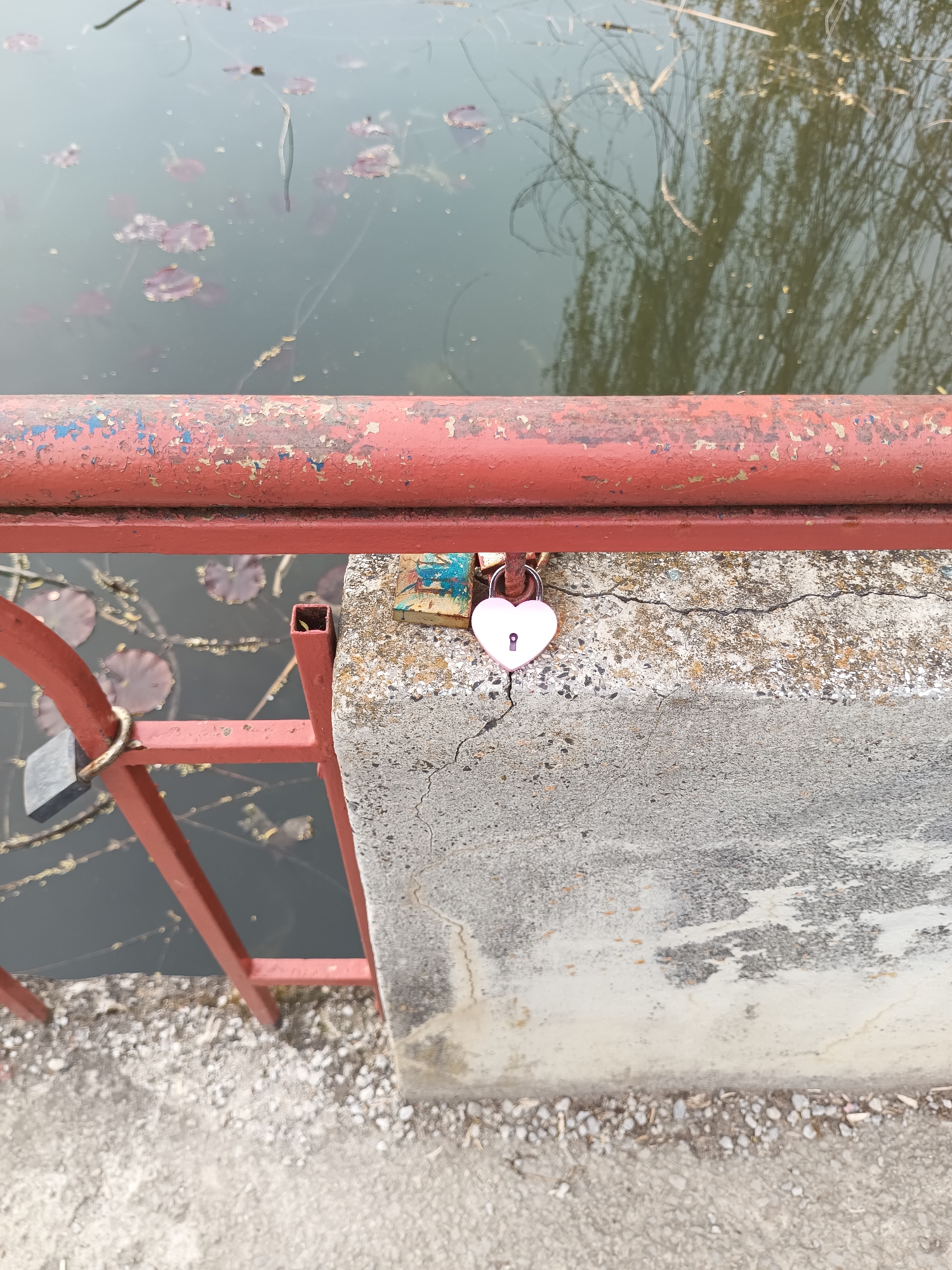 A medium-angle, outdoor shot captures a red, rusted metal bridge railing over a body of water, with several love locks attached. The railing is horizontal across the upper portion of the frame, with some paint chipping. Below the horizontal railing, vertical bars of the railing are visible. Two padlocks are visible; a heart-shaped padlock with a light pink center is closest to the viewer. To the left, another, rectangular padlock hangs from the railing. The water below contains some vegetation and is still. The location is Targovishte, Bulgaria, based on the presence of love locks.