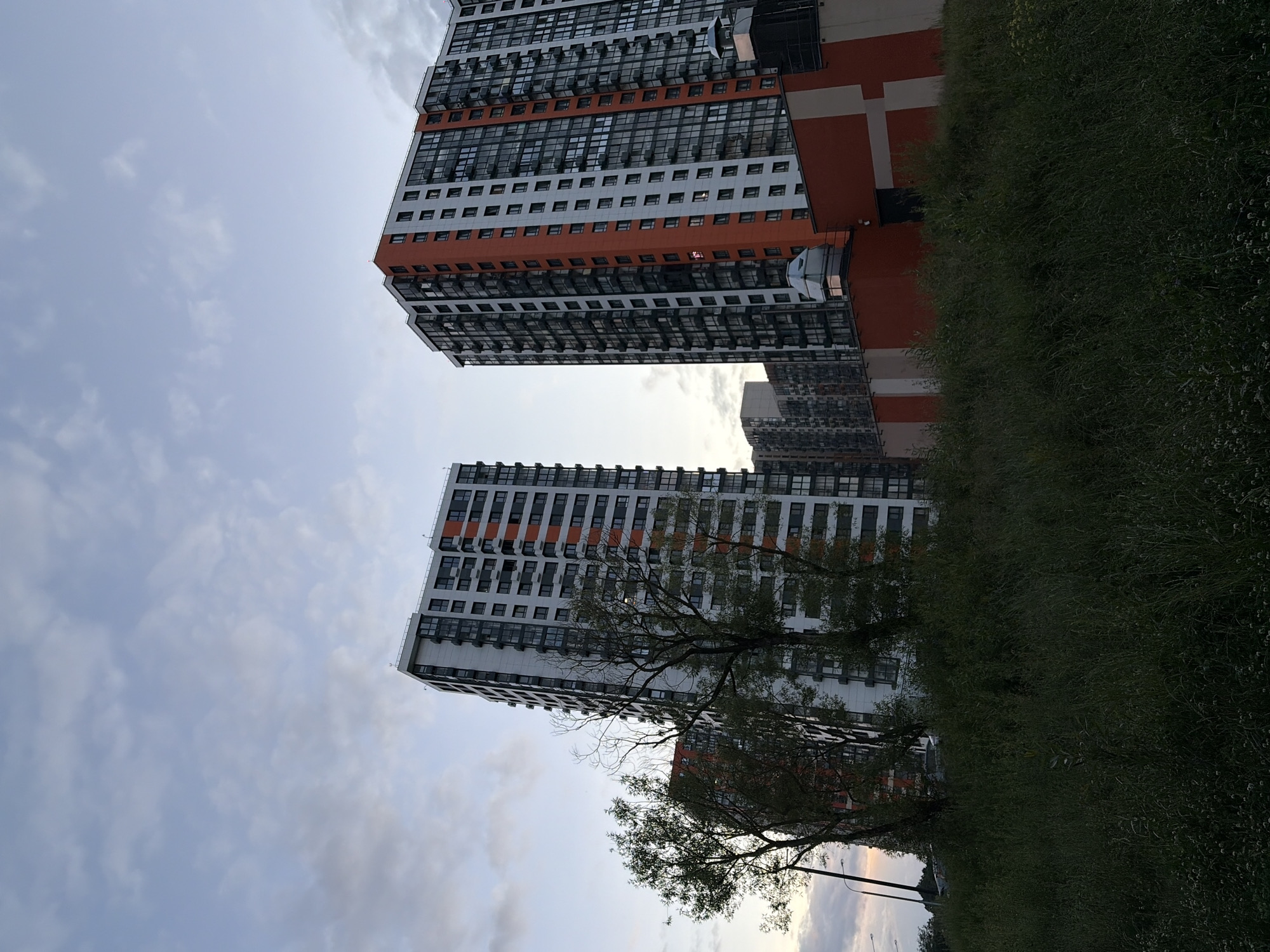 The image depicts a modern urban landscape with tall residential buildings under a cloudy sky. The buildings are characterized by their white and orange facades, with numerous windows. In the foreground, there is a dense area of green grass and some trees, suggesting a natural or semi-natural area bordering the urban development. The lighting indicates it is likely late afternoon or early evening. There are no visible people or animals in the frame. The scene is quiet and still, with a focus on the architecture and the contrast between the built environment and the natural elements. The specific location in Moscow, Russia, is suggested by the architectural style and general urban planning visible.